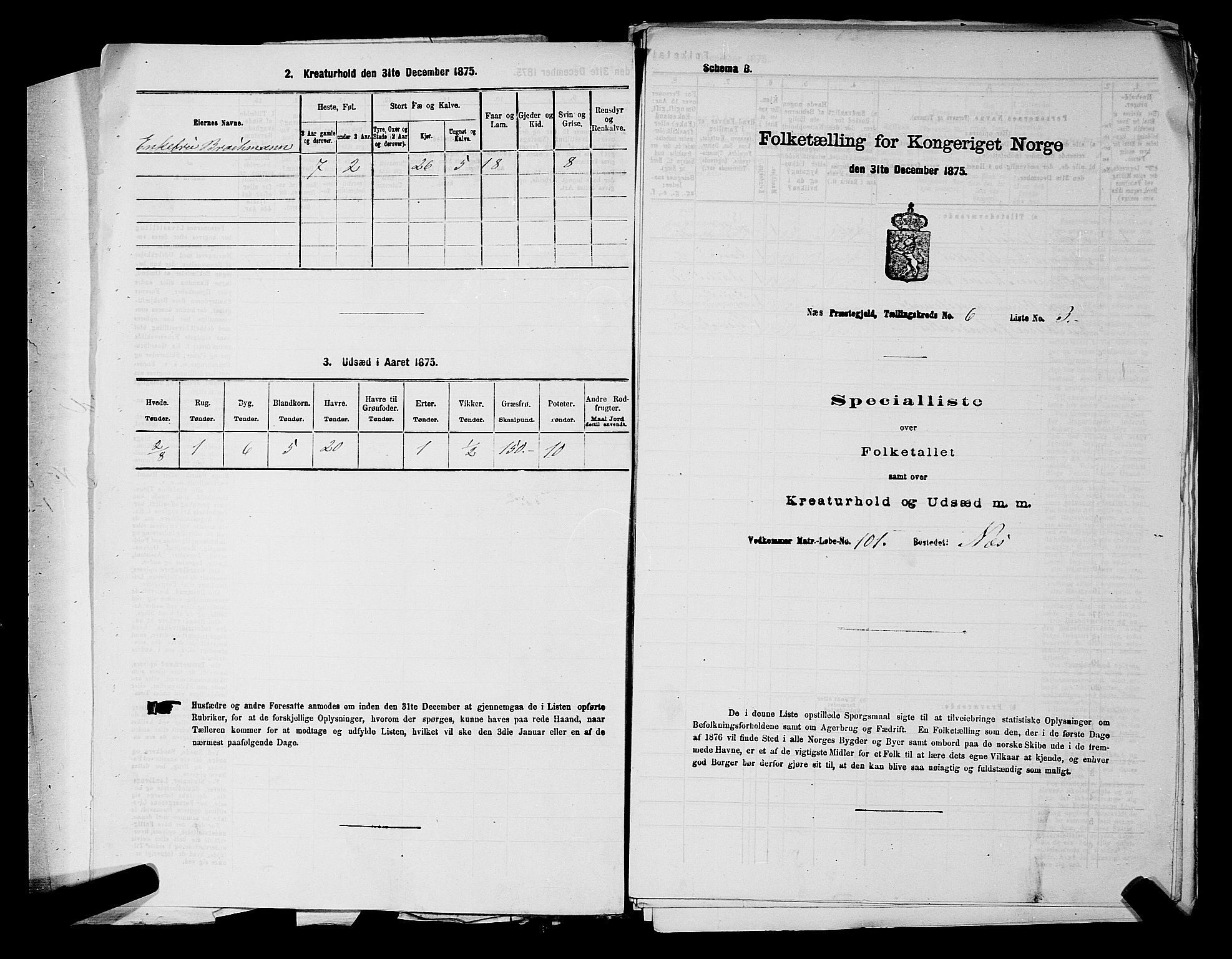 RA, Folketelling 1875 for 0236P Nes prestegjeld, 1875, s. 889