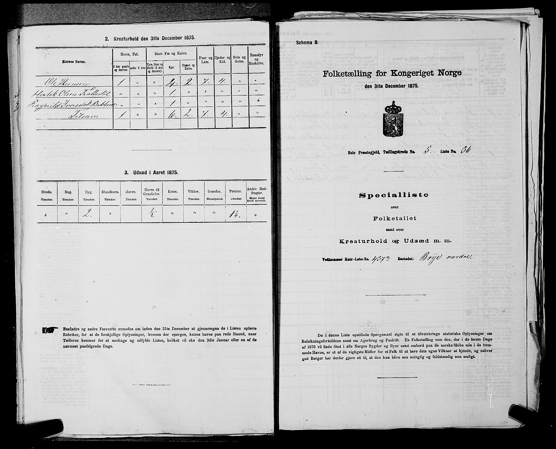 SAKO, Folketelling 1875 for 0620P Hol prestegjeld, 1875, s. 706