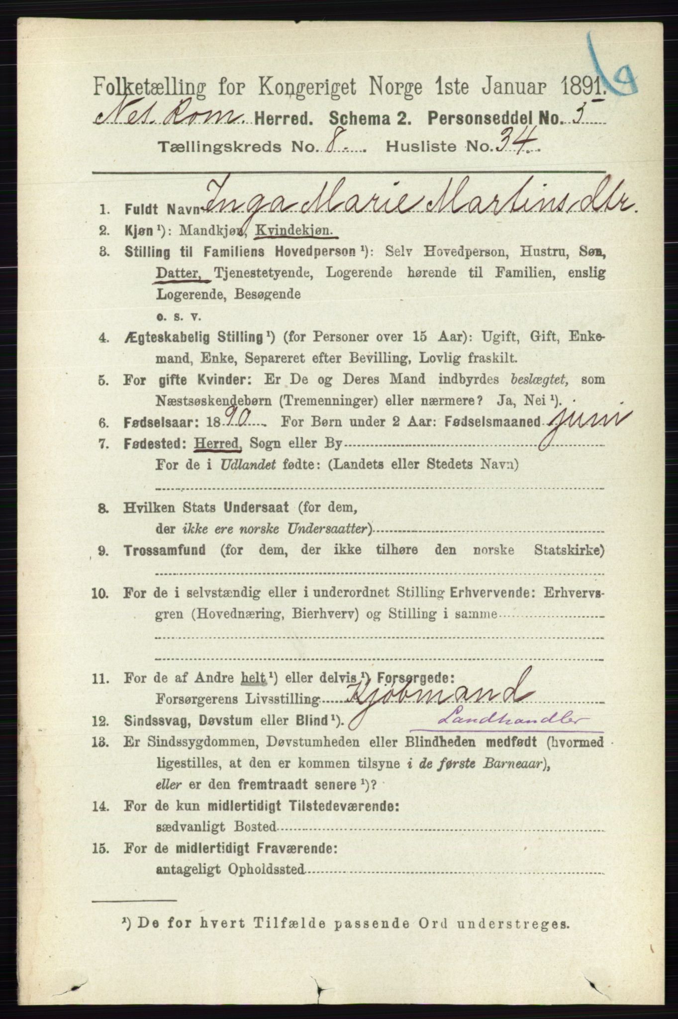 RA, Folketelling 1891 for 0236 Nes herred, 1891, s. 4817