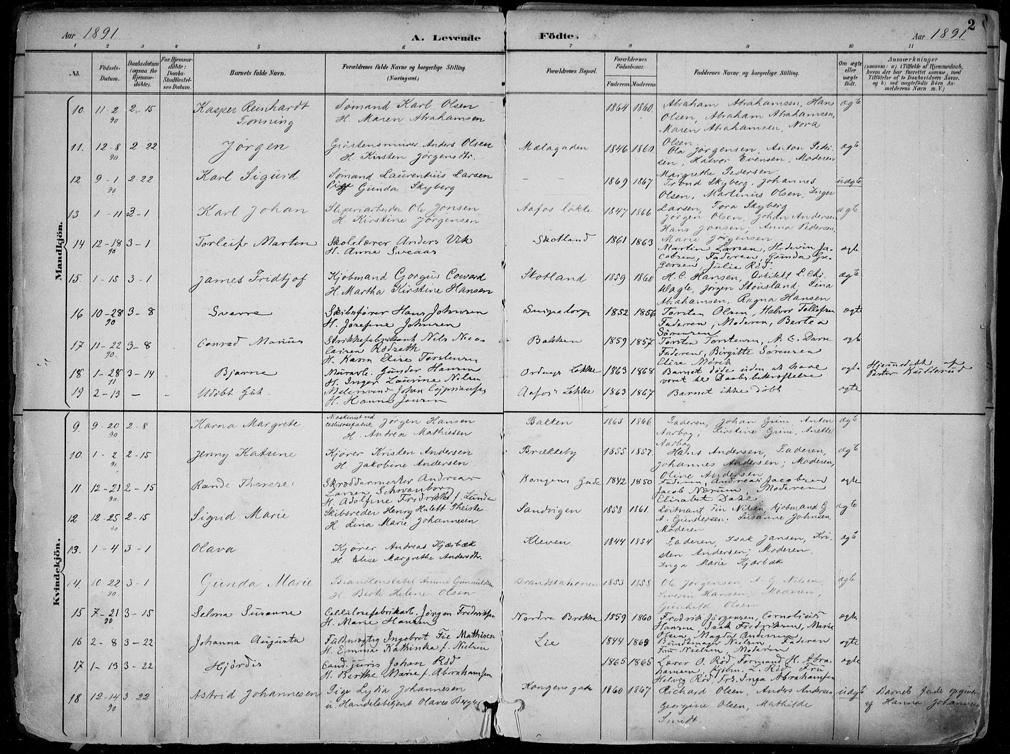 Skien kirkebøker, AV/SAKO-A-302/F/Fa/L0010: Ministerialbok nr. 10, 1891-1899, s. 2