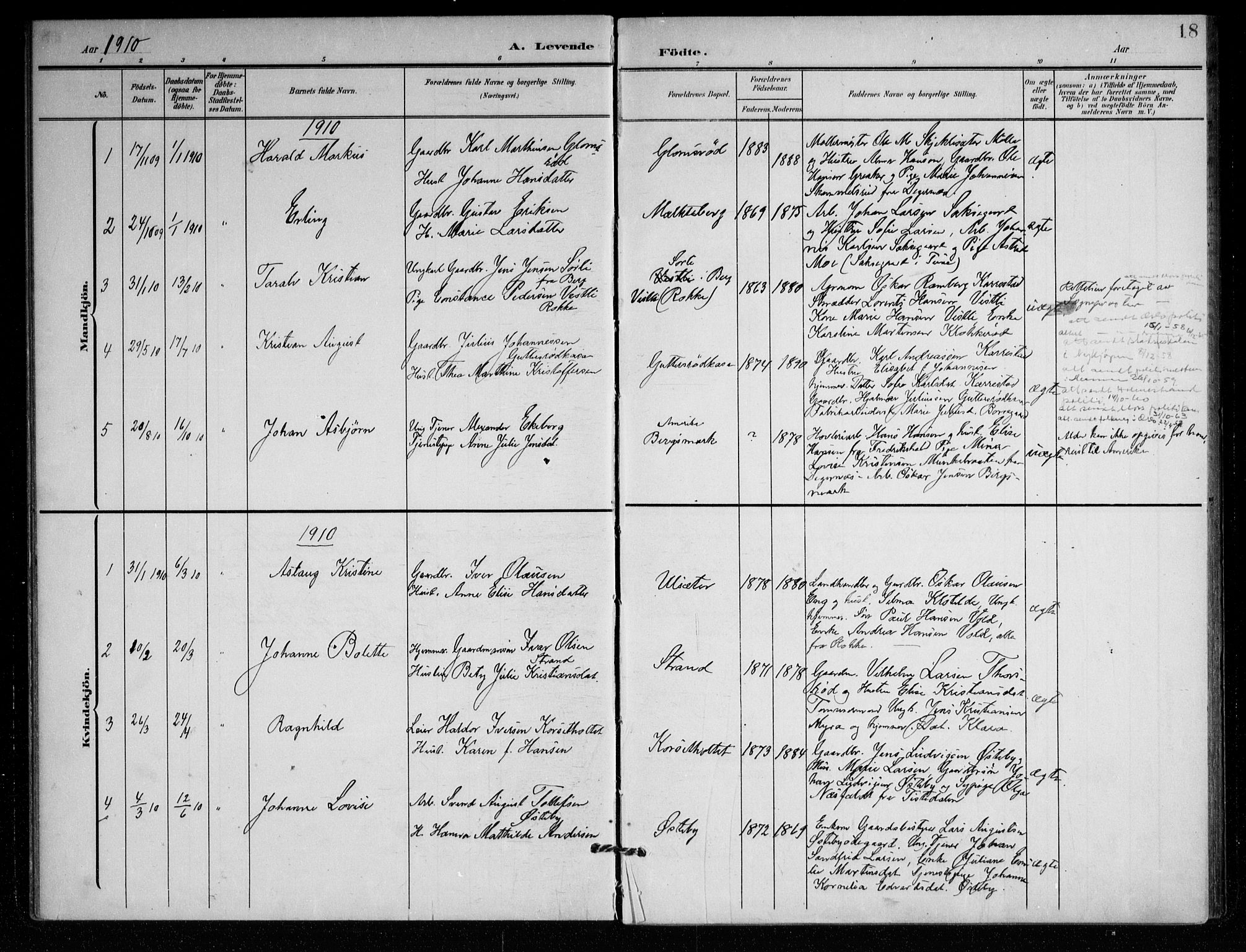 Berg prestekontor Kirkebøker, AV/SAO-A-10902/F/Fc/L0003: Ministerialbok nr. III 3, 1902-1916, s. 18