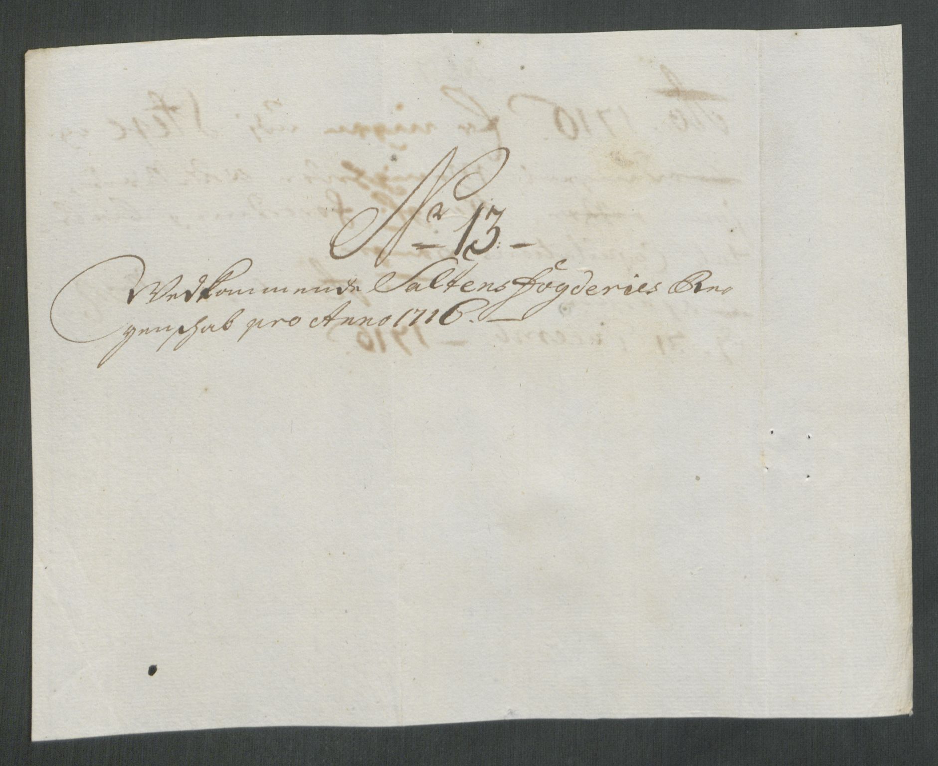 Rentekammeret inntil 1814, Reviderte regnskaper, Fogderegnskap, RA/EA-4092/R66/L4586: Fogderegnskap Salten, 1716, s. 115