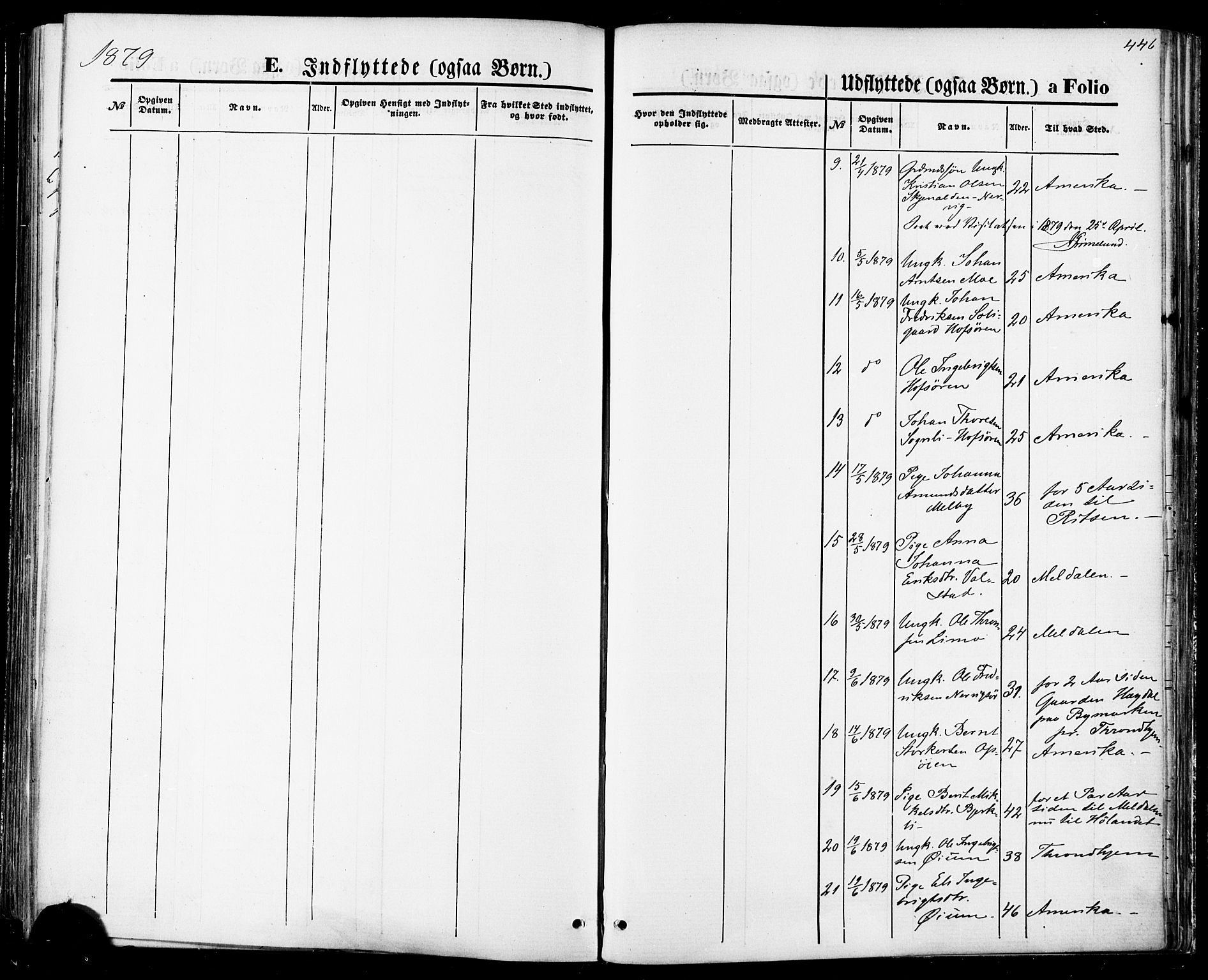 Ministerialprotokoller, klokkerbøker og fødselsregistre - Sør-Trøndelag, SAT/A-1456/668/L0807: Ministerialbok nr. 668A07, 1870-1880, s. 446