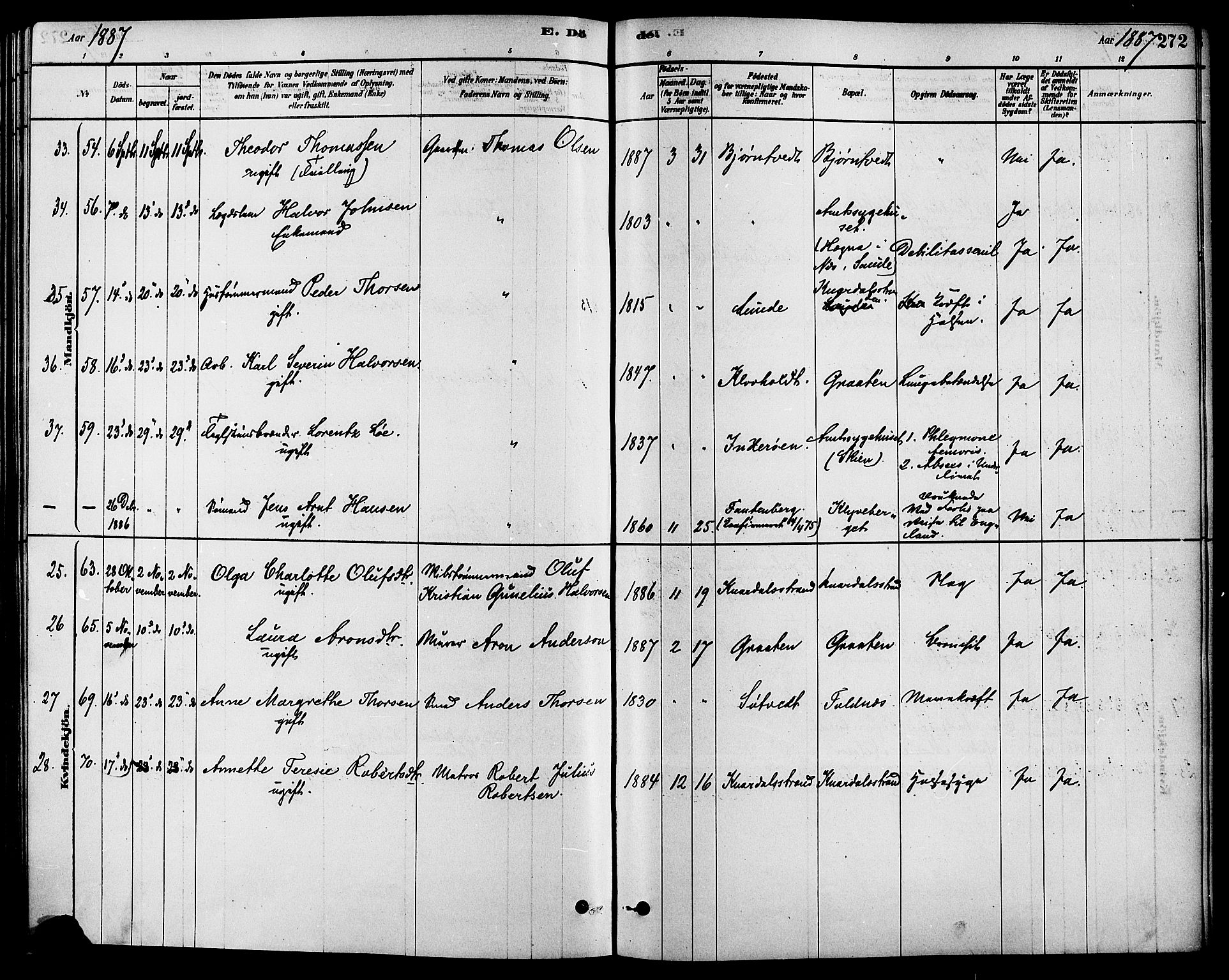 Solum kirkebøker, AV/SAKO-A-306/F/Fa/L0009: Ministerialbok nr. I 9, 1877-1887, s. 272