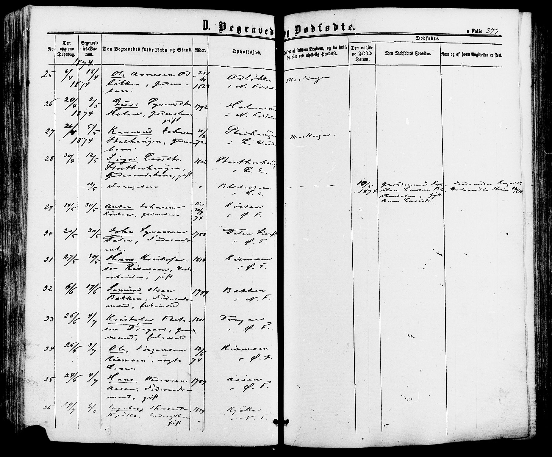 Alvdal prestekontor, AV/SAH-PREST-060/H/Ha/Haa/L0001: Ministerialbok nr. 1, 1863-1882, s. 373