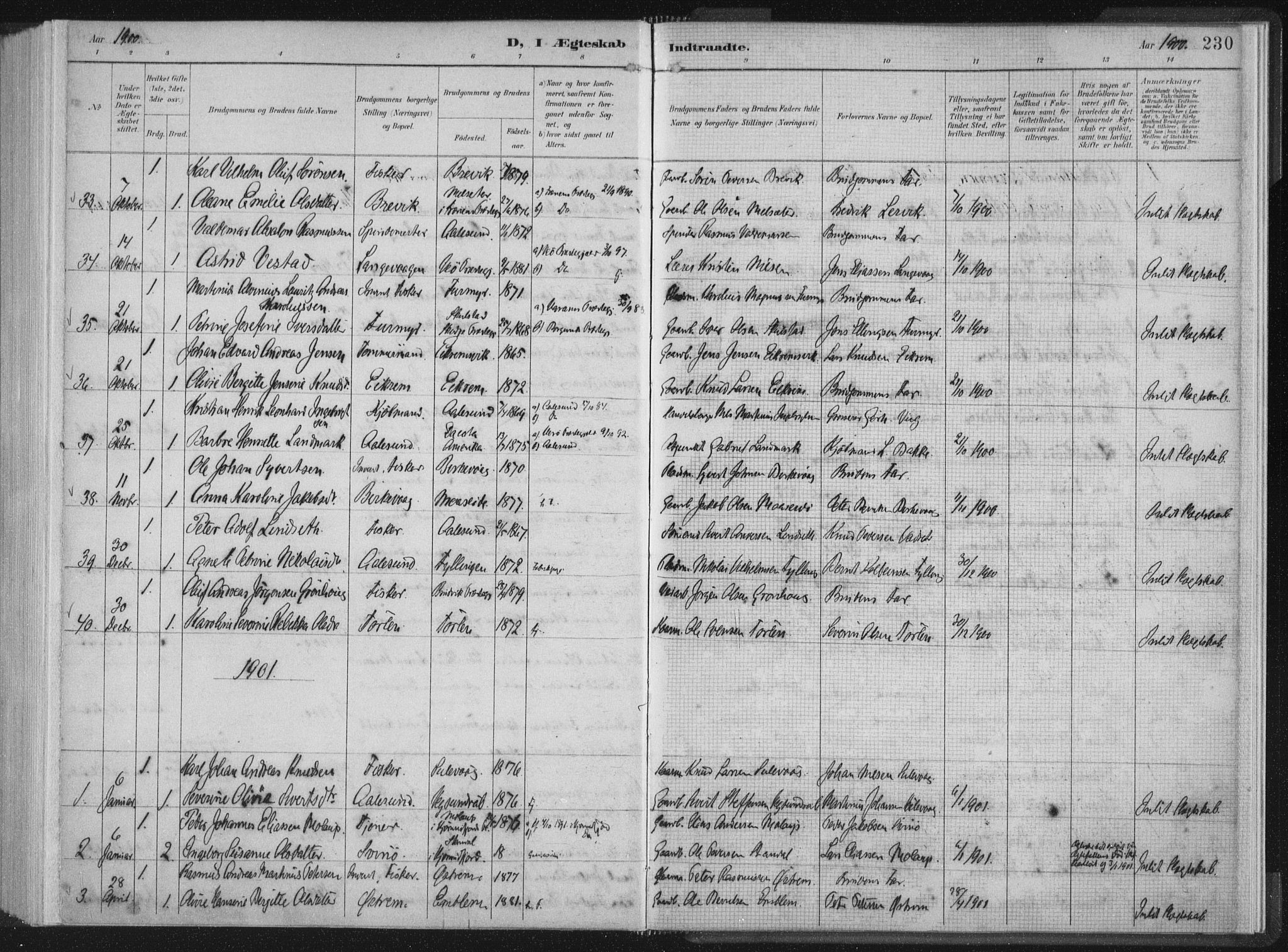 Ministerialprotokoller, klokkerbøker og fødselsregistre - Møre og Romsdal, AV/SAT-A-1454/528/L0405: Ministerialbok nr. 528A14, 1891-1906, s. 230