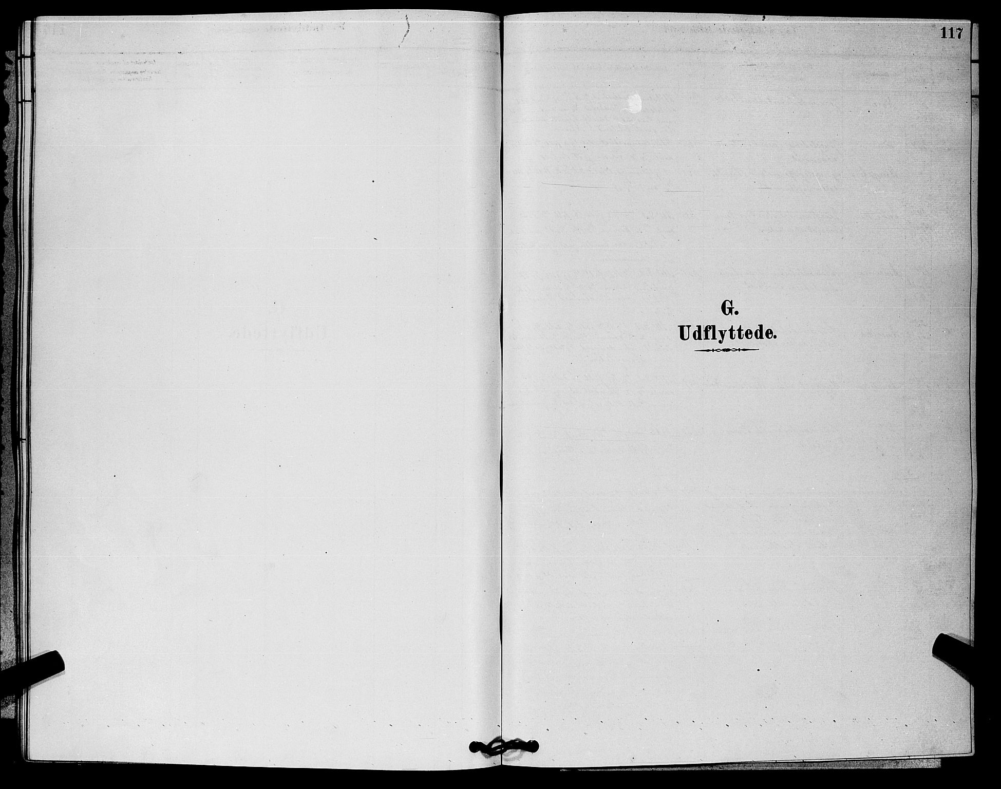 Rollag kirkebøker, SAKO/A-240/G/Gb/L0002: Klokkerbok nr. II 2, 1878-1898, s. 117