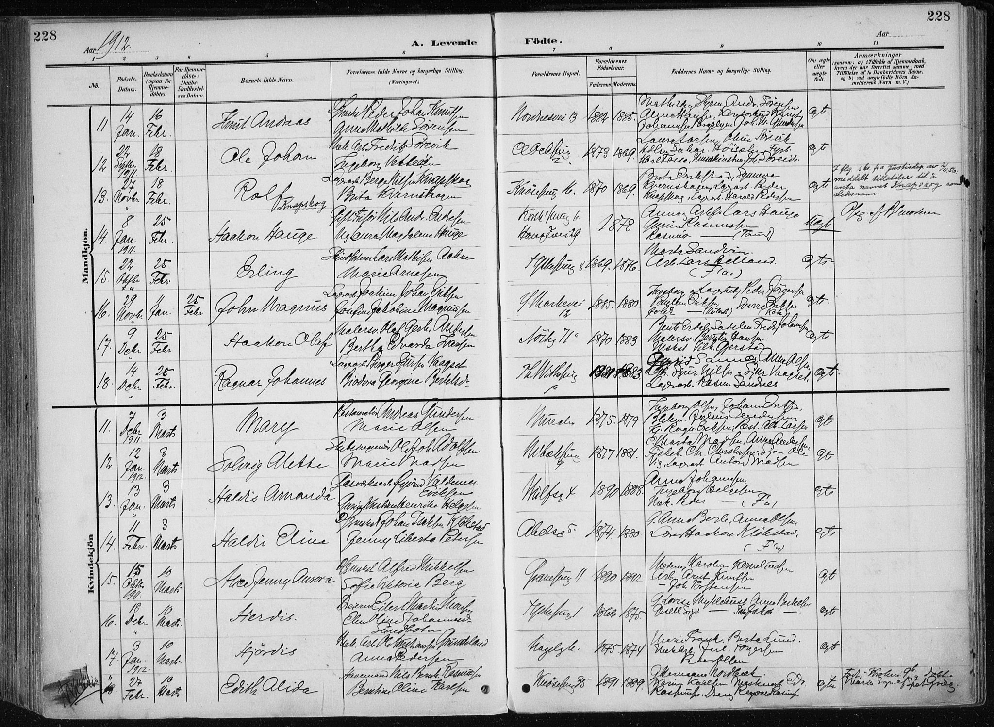 Nykirken Sokneprestembete, AV/SAB-A-77101/H/Haa/L0019: Ministerialbok nr. B 7, 1904-1916, s. 228