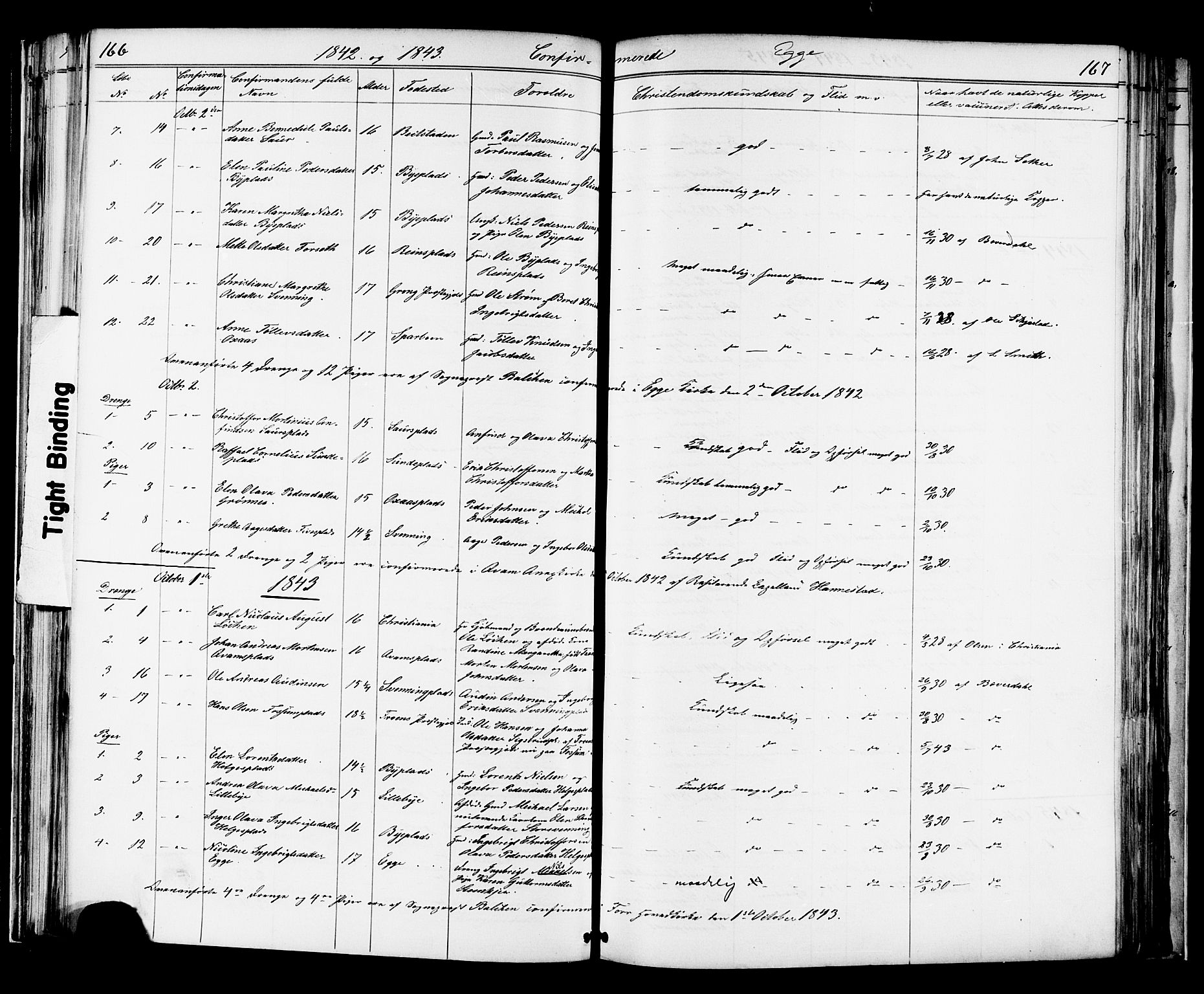 Ministerialprotokoller, klokkerbøker og fødselsregistre - Nord-Trøndelag, AV/SAT-A-1458/739/L0367: Ministerialbok nr. 739A01 /3, 1838-1868, s. 166-167