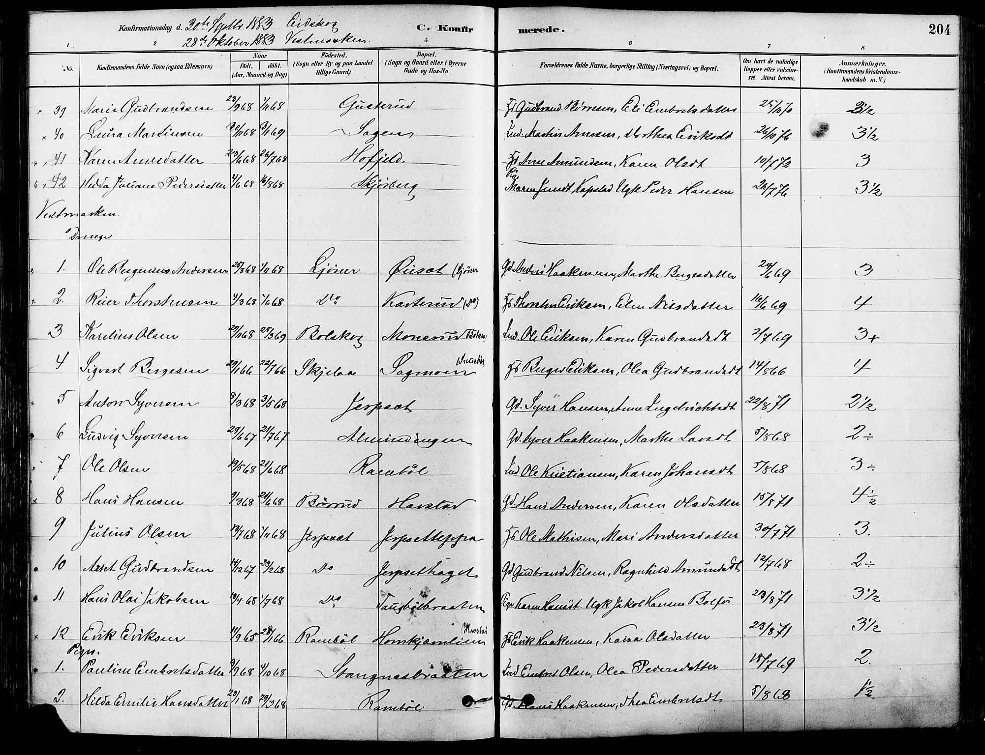 Eidskog prestekontor, AV/SAH-PREST-026/H/Ha/Haa/L0003: Ministerialbok nr. 3, 1879-1892, s. 204