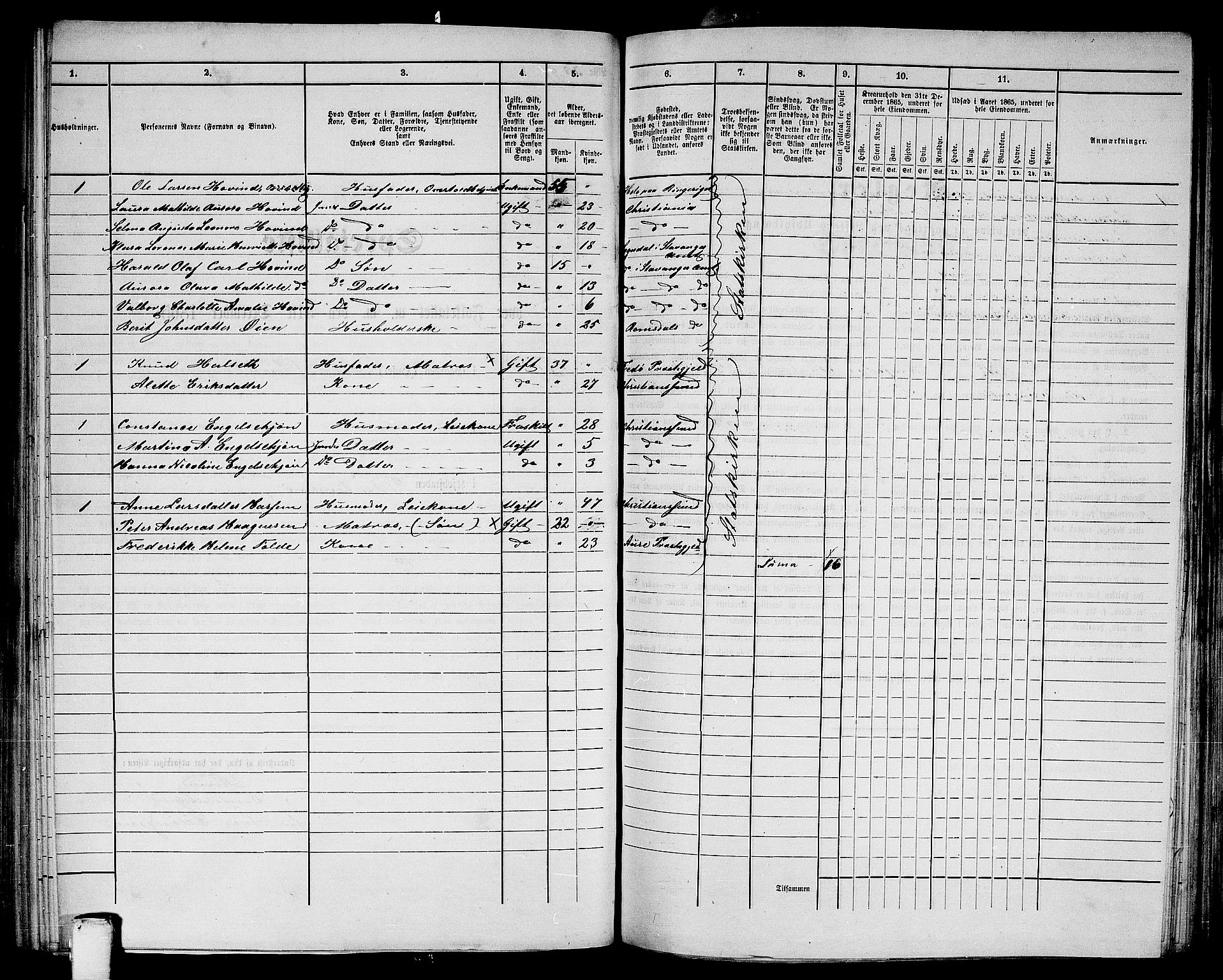 RA, Folketelling 1865 for 1503B Kristiansund prestegjeld, Kristiansund kjøpstad, 1865, s. 203