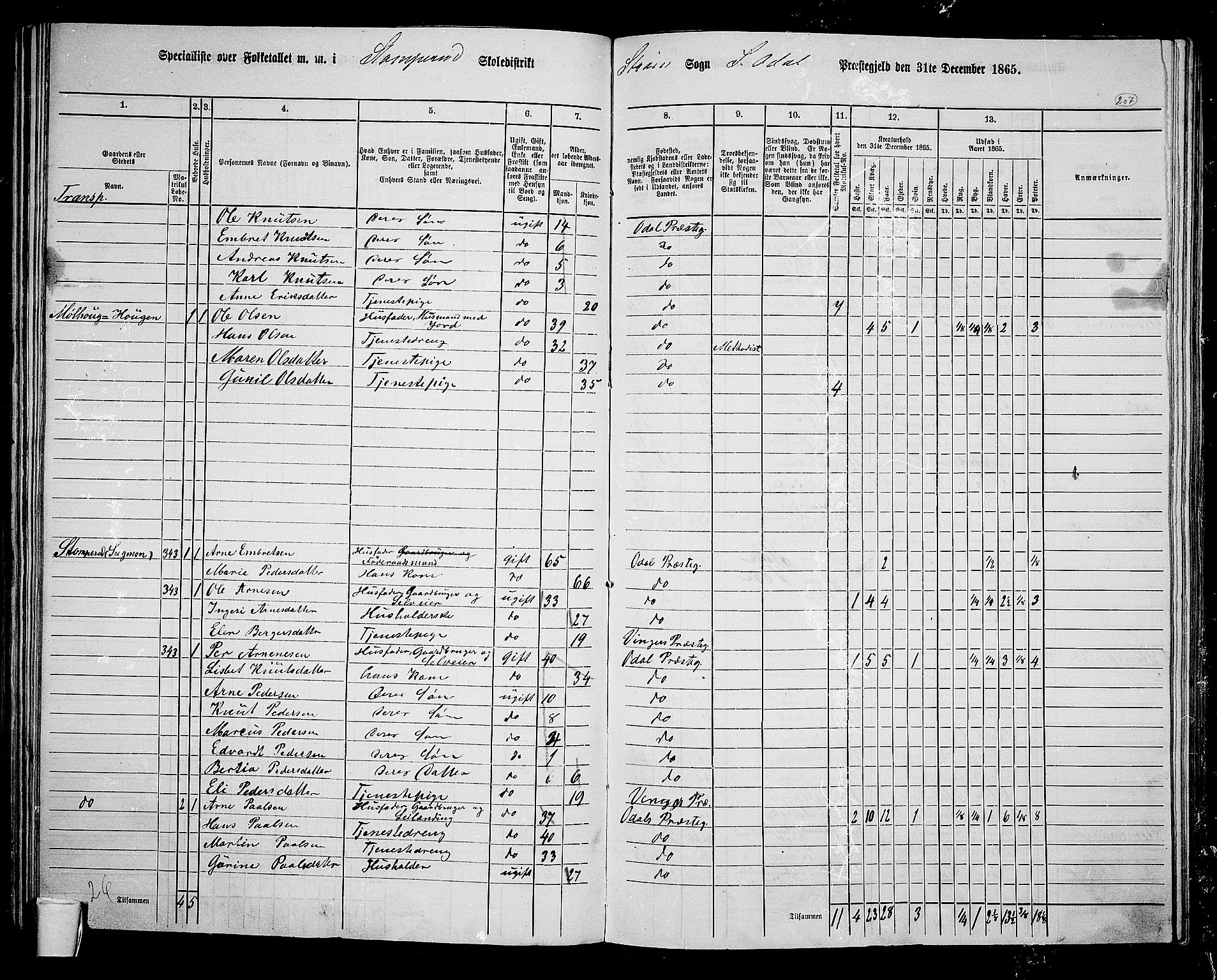 RA, Folketelling 1865 for 0419P Sør-Odal prestegjeld, 1865, s. 182