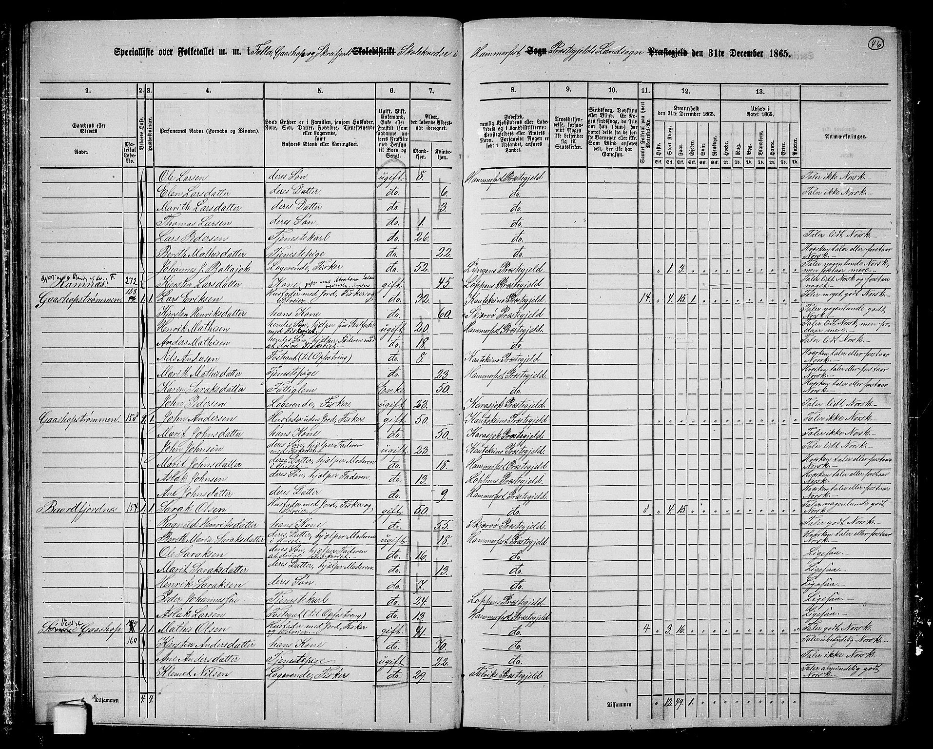 RA, Folketelling 1865 for 2016L Hammerfest prestegjeld, Hammerfest landsokn, 1865, s. 44