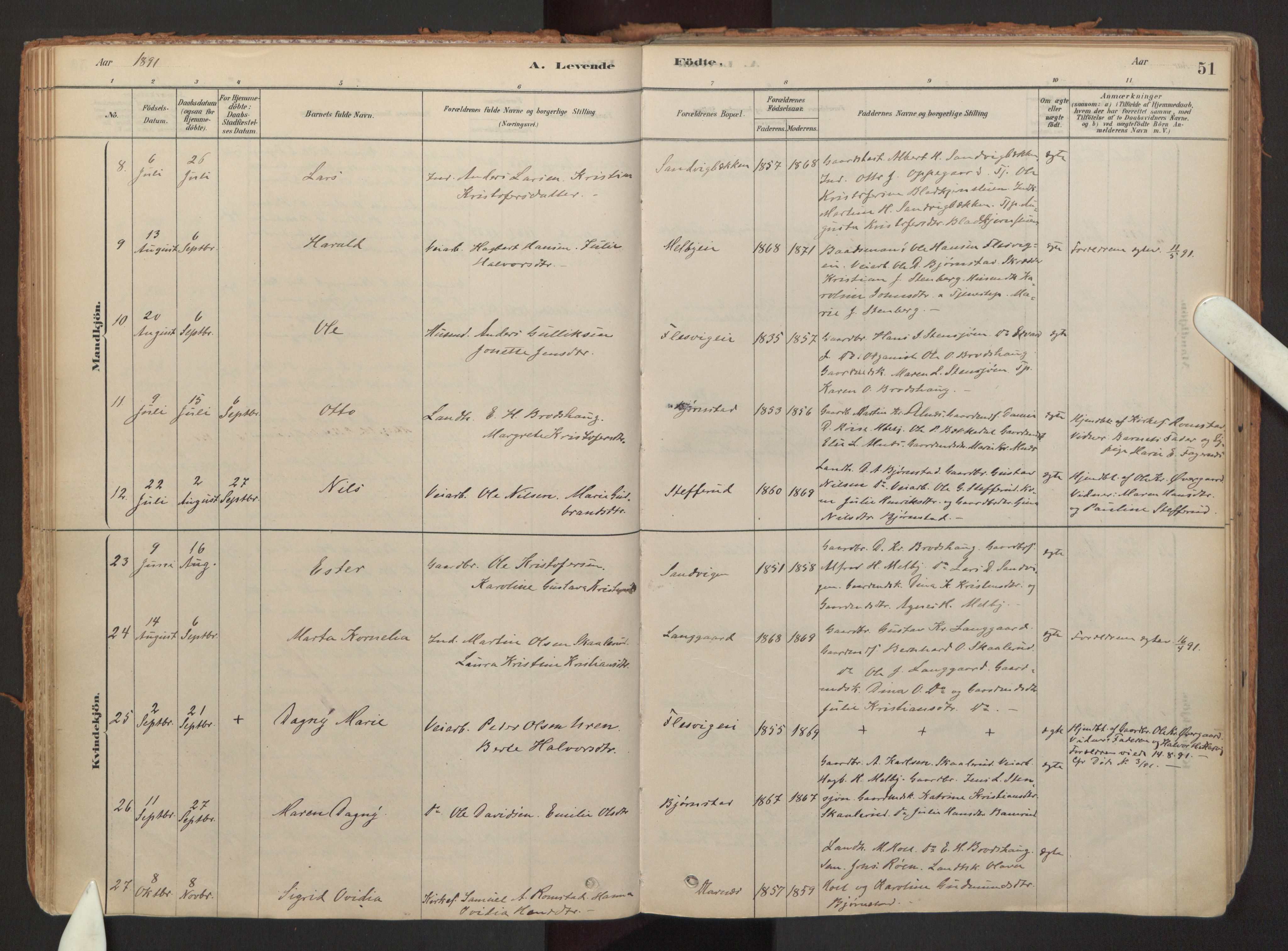 Hurdal prestekontor Kirkebøker, AV/SAO-A-10889/F/Fb/L0003: Ministerialbok nr. II 3, 1878-1920, s. 51