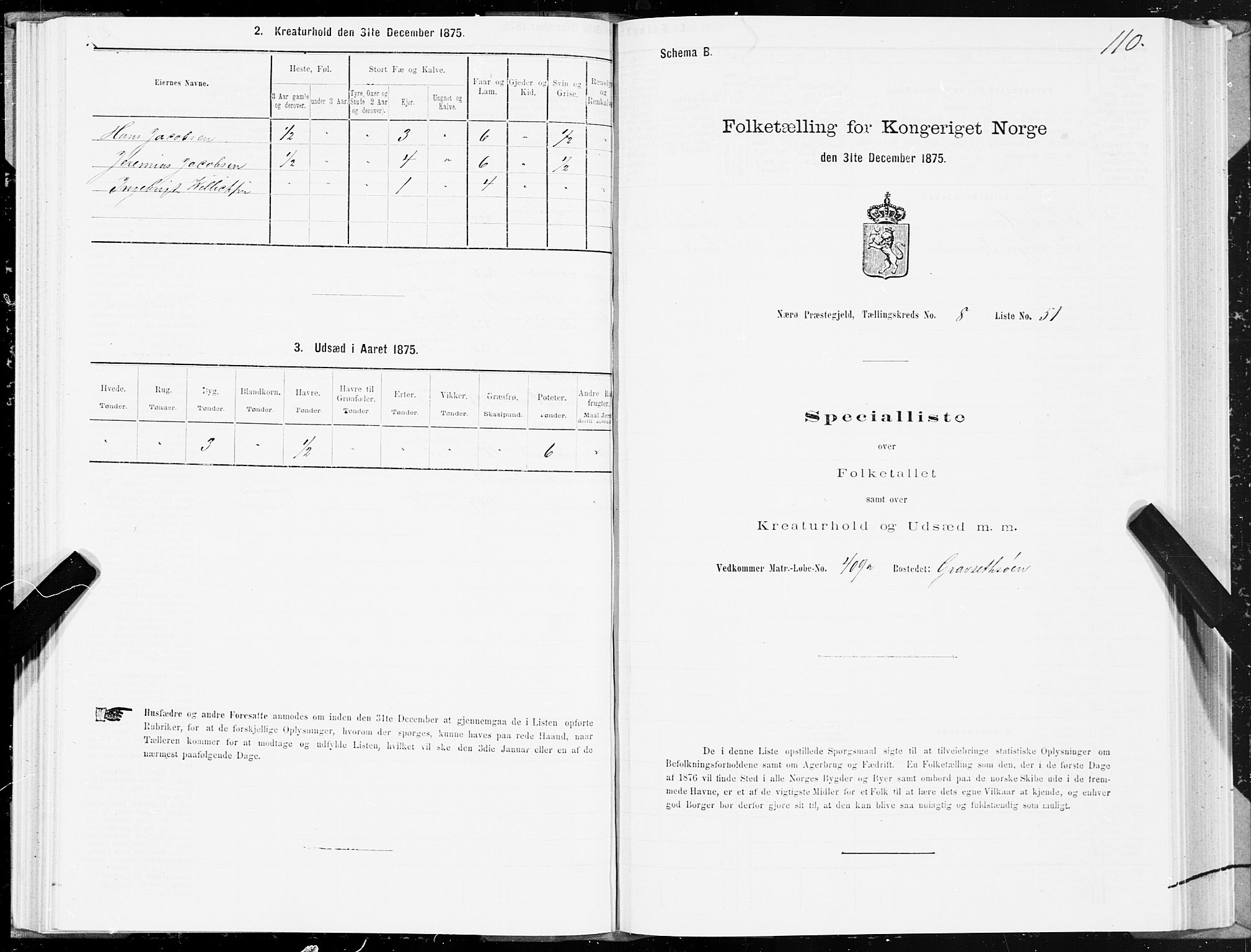 SAT, Folketelling 1875 for 1751P Nærøy prestegjeld, 1875, s. 4110