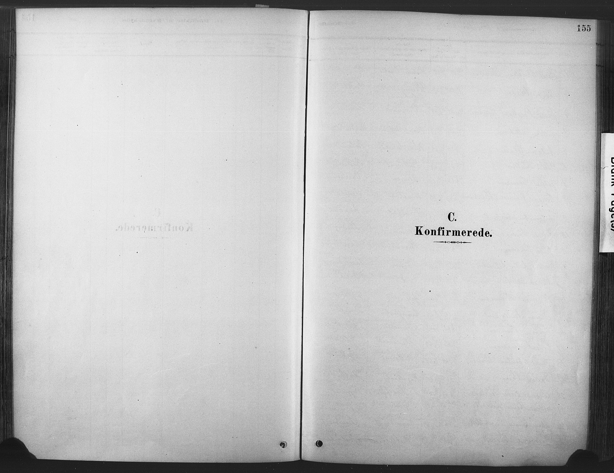 Våle kirkebøker, AV/SAKO-A-334/F/Fa/L0011: Ministerialbok nr. I 11, 1878-1906, s. 155