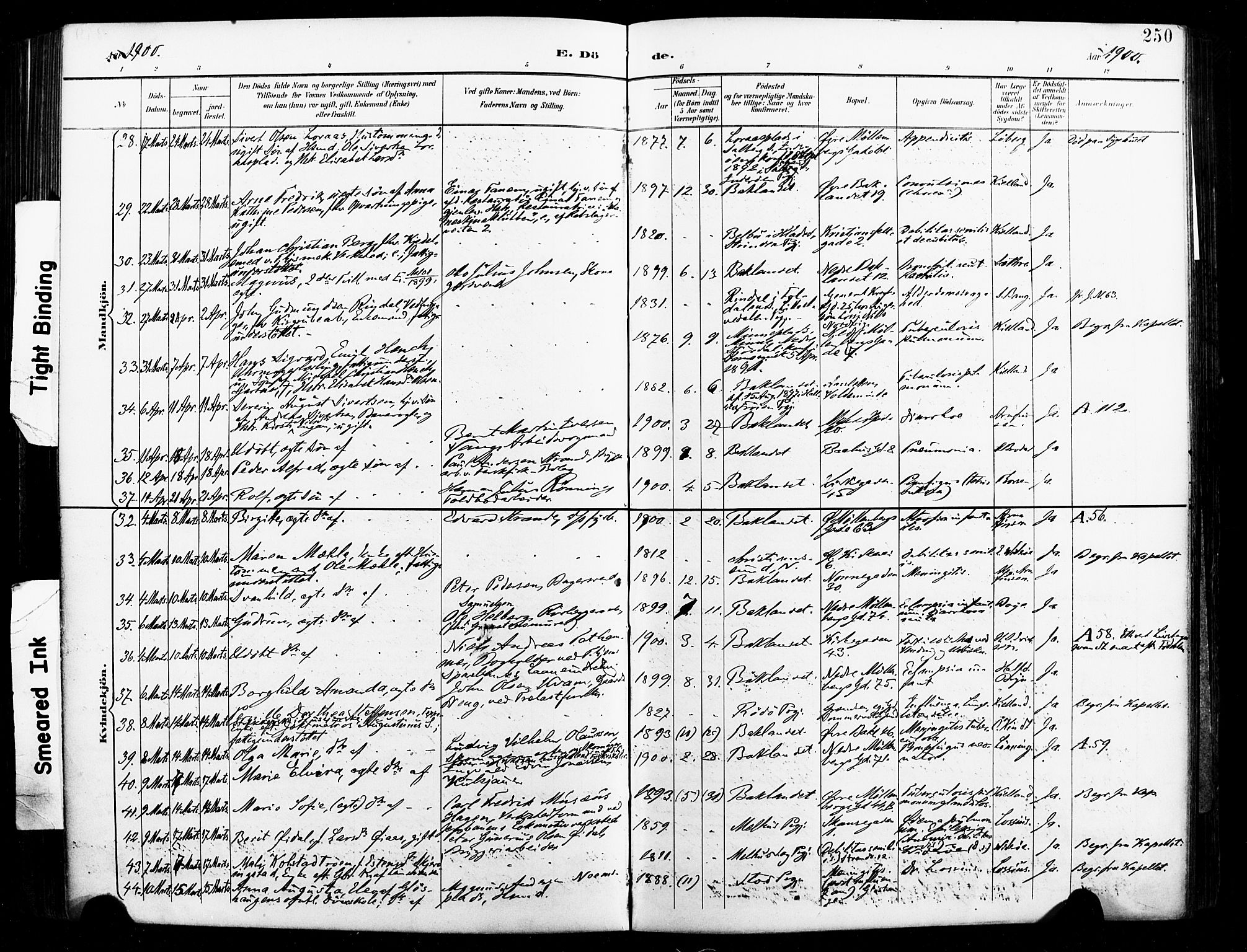 Ministerialprotokoller, klokkerbøker og fødselsregistre - Sør-Trøndelag, SAT/A-1456/604/L0198: Ministerialbok nr. 604A19, 1893-1900, s. 250