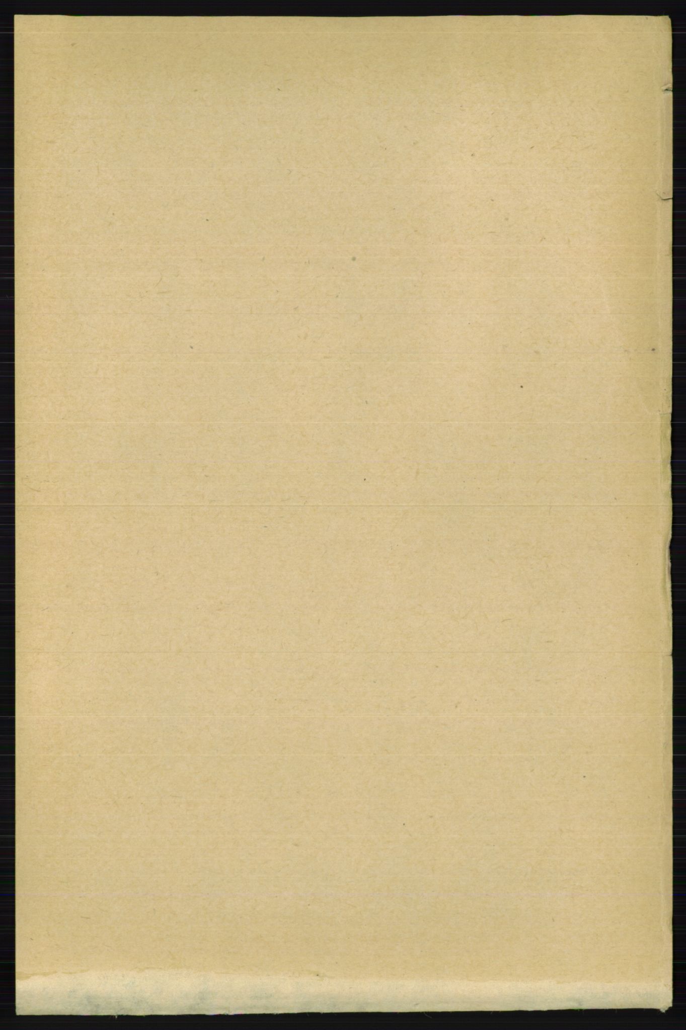 RA, Folketelling 1891 for 0236 Nes herred, 1891, s. 1575