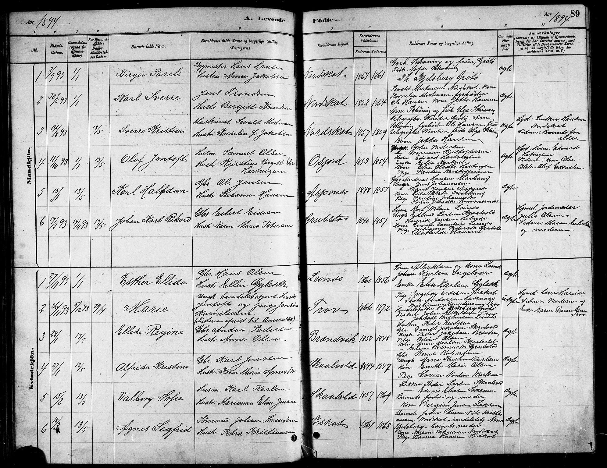 Ministerialprotokoller, klokkerbøker og fødselsregistre - Nordland, AV/SAT-A-1459/857/L0828: Klokkerbok nr. 857C03, 1879-1908, s. 89