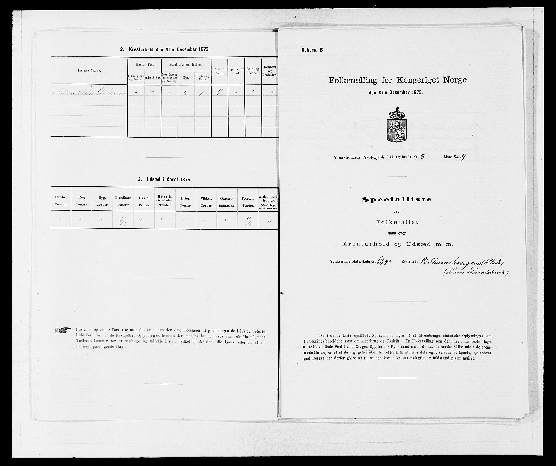 SAB, Folketelling 1875 for 1236P Vossestrand prestegjeld, 1875, s. 605