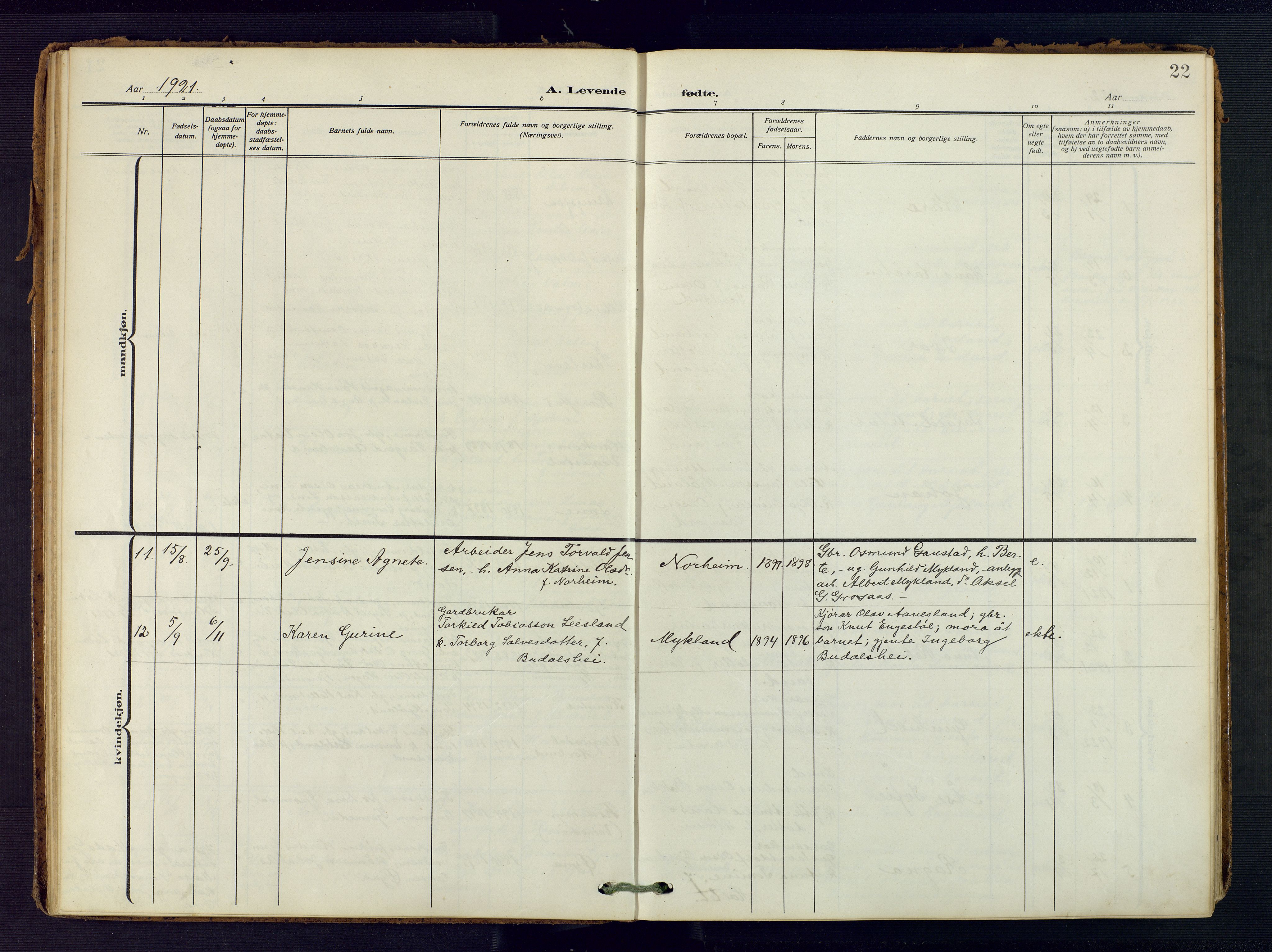 Evje sokneprestkontor, AV/SAK-1111-0008/F/Fa/Fac/L0004: Ministerialbok nr. A 4, 1910-1932, s. 22