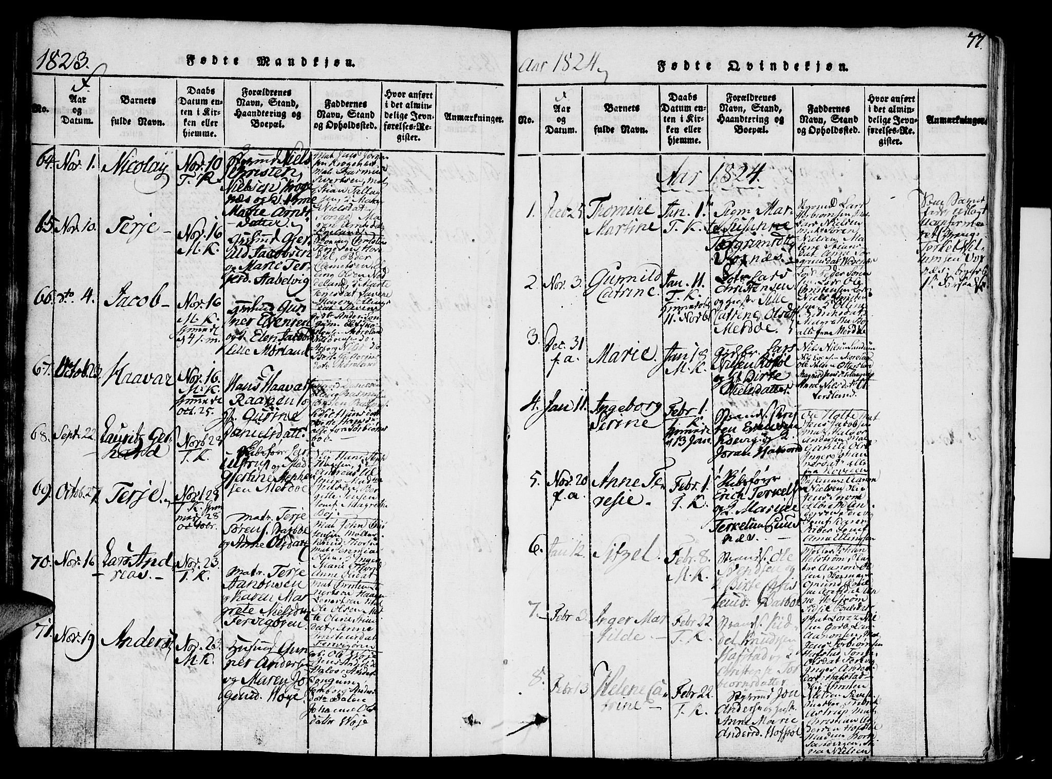 Austre Moland sokneprestkontor, AV/SAK-1111-0001/F/Fa/Faa/L0004: Ministerialbok nr. A 4, 1816-1824, s. 77