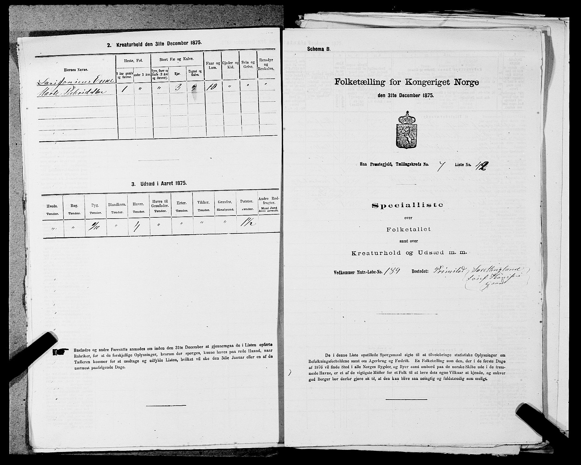 SAST, Folketelling 1875 for 1119P Hå prestegjeld, 1875, s. 809