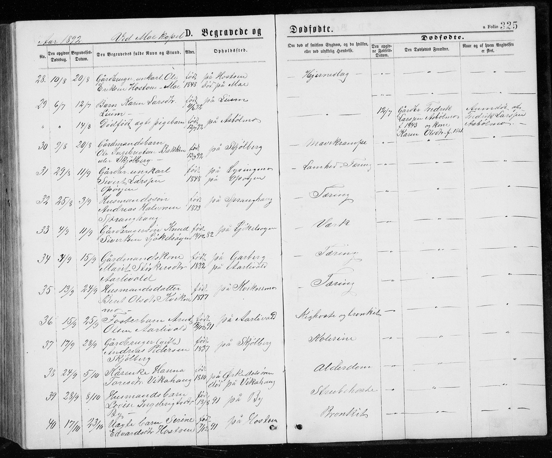 Ministerialprotokoller, klokkerbøker og fødselsregistre - Sør-Trøndelag, SAT/A-1456/671/L0843: Klokkerbok nr. 671C02, 1873-1892, s. 325