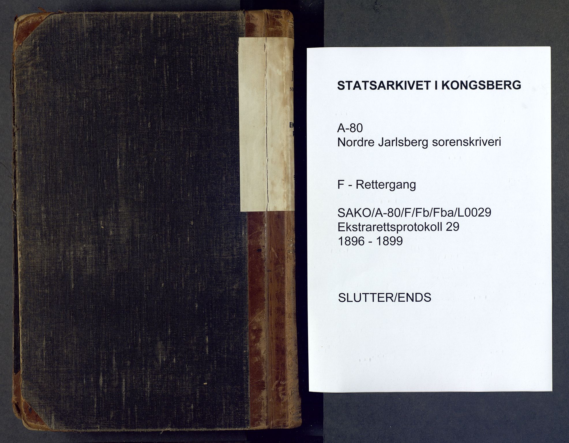 Nordre Jarlsberg sorenskriveri, SAKO/A-80/F/Fb/Fba/L0029: Ekstrarettsprotokoll, 1896-1899