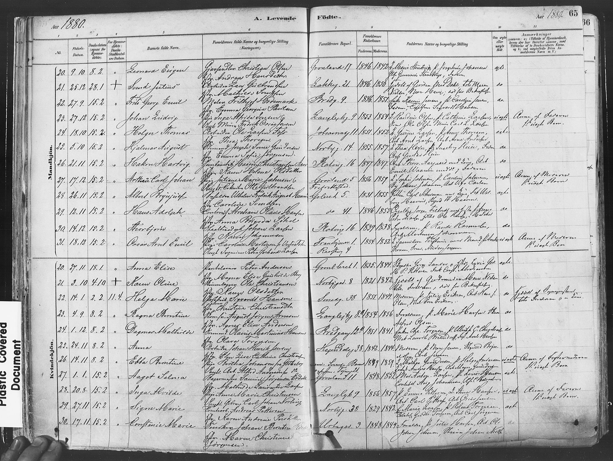 Grønland prestekontor Kirkebøker, AV/SAO-A-10848/F/Fa/L0007: Ministerialbok nr. 7, 1878-1888, s. 65