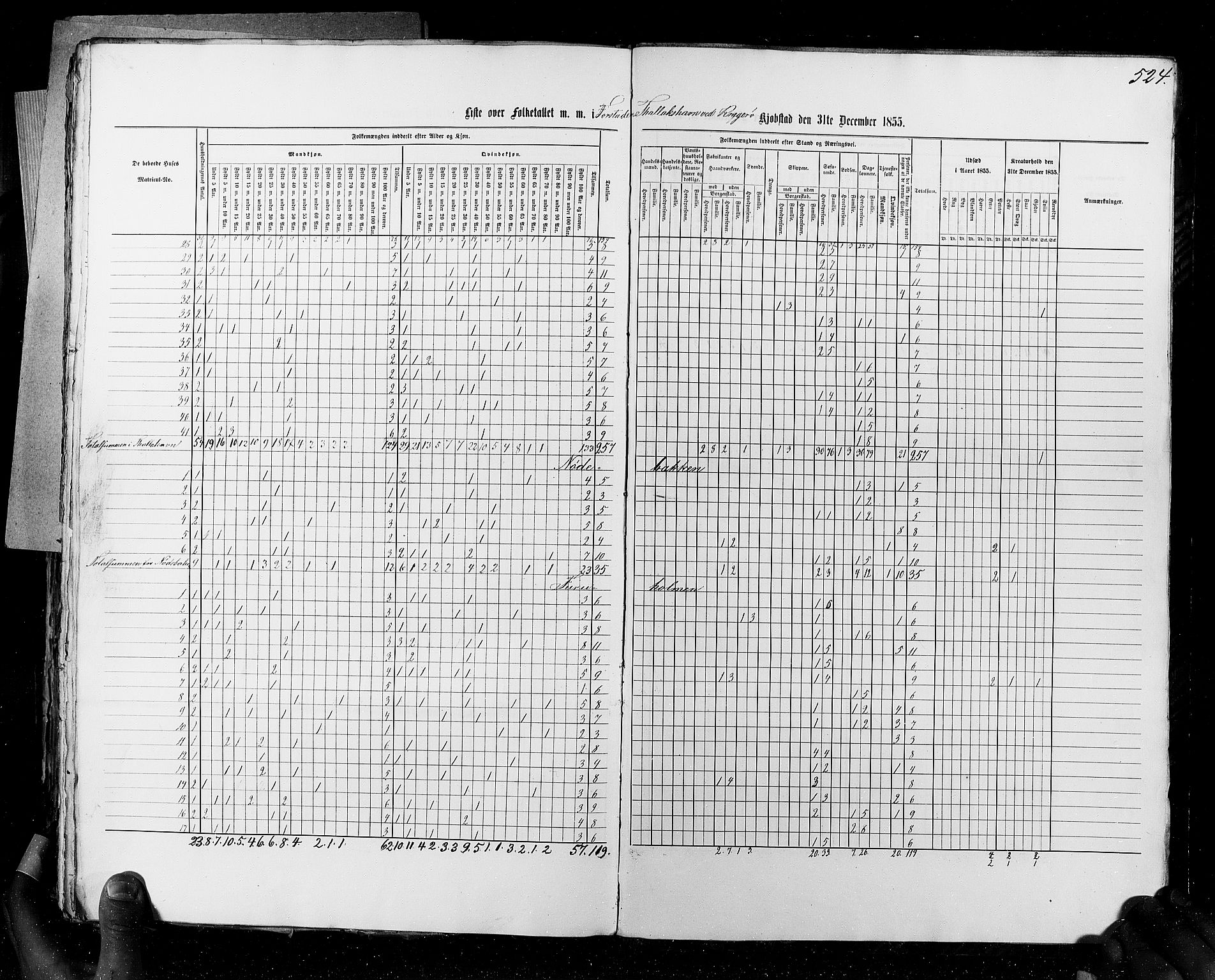 RA, Folketellingen 1855, bind 7: Kjøpsteder og ladesteder: Fredrikshald-Kragerø, 1855, s. 524