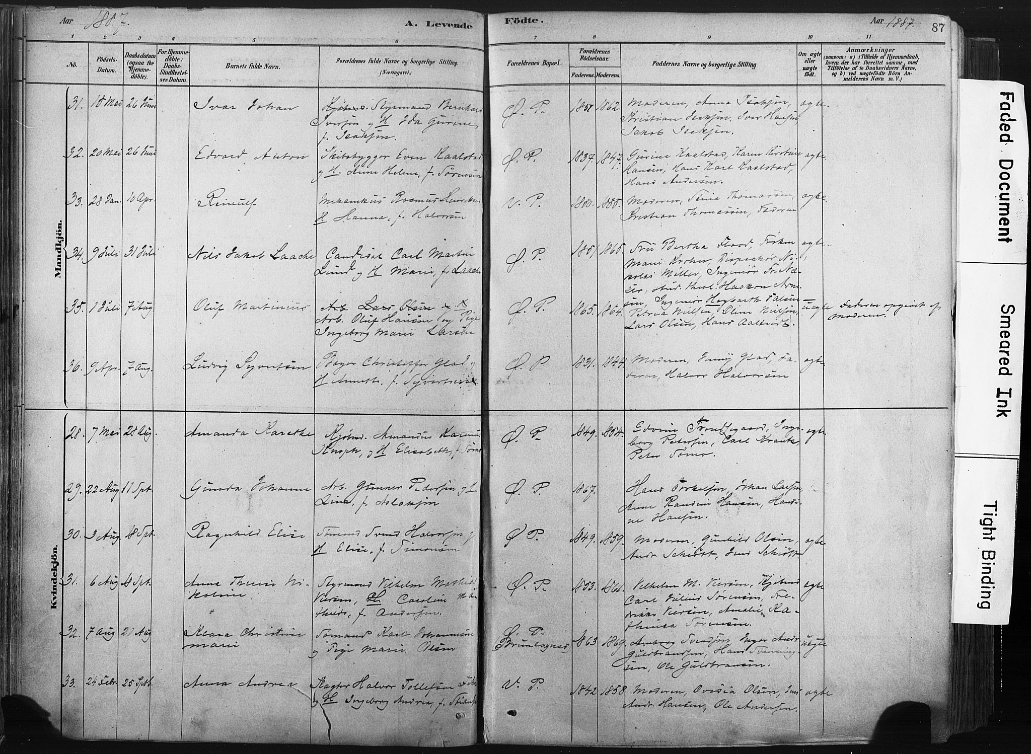 Porsgrunn kirkebøker , AV/SAKO-A-104/F/Fa/L0008: Ministerialbok nr. 8, 1878-1895, s. 87
