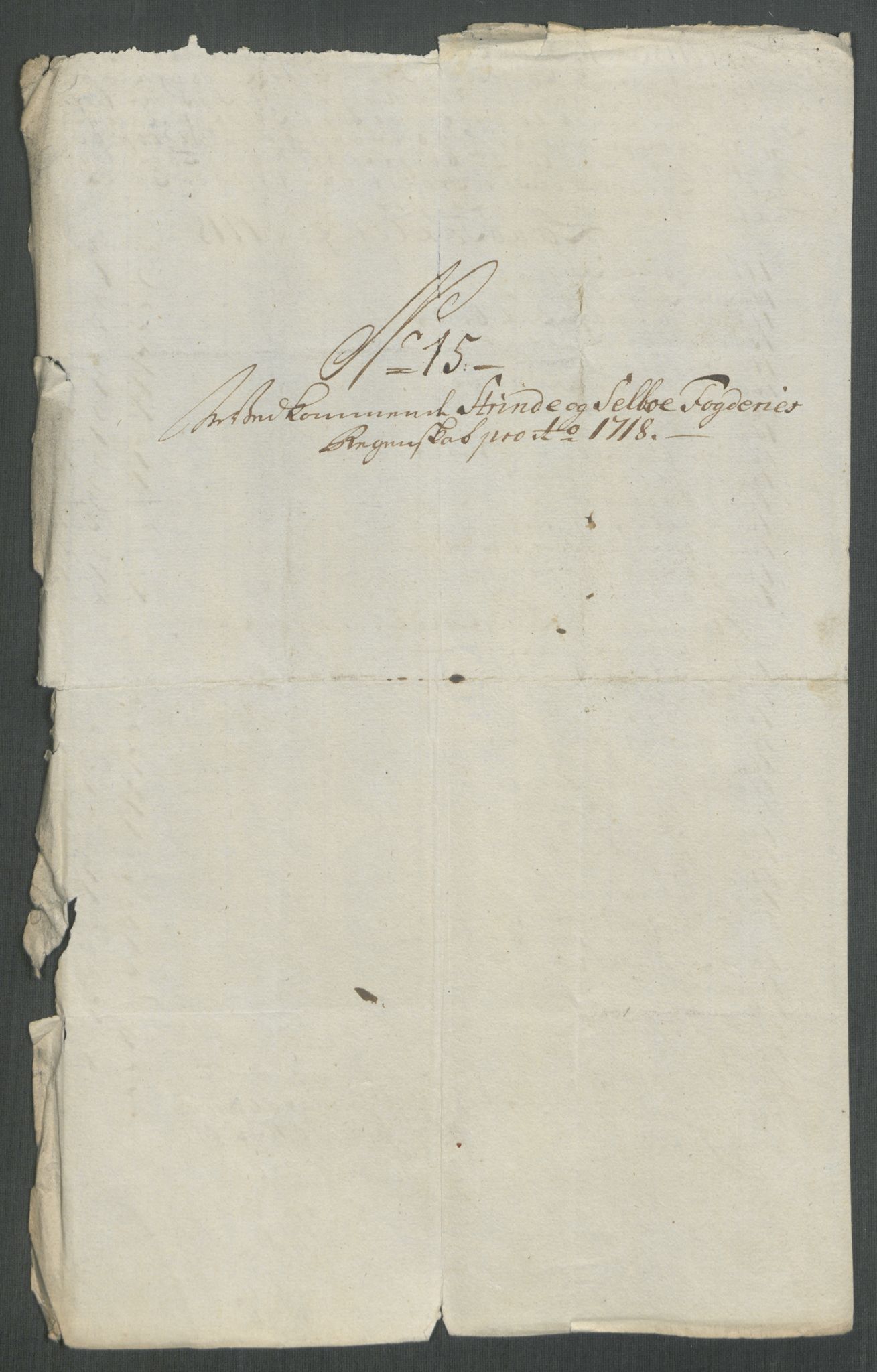 Rentekammeret inntil 1814, Reviderte regnskaper, Fogderegnskap, AV/RA-EA-4092/R61/L4116: Fogderegnskap Strinda og Selbu, 1717-1718, s. 440