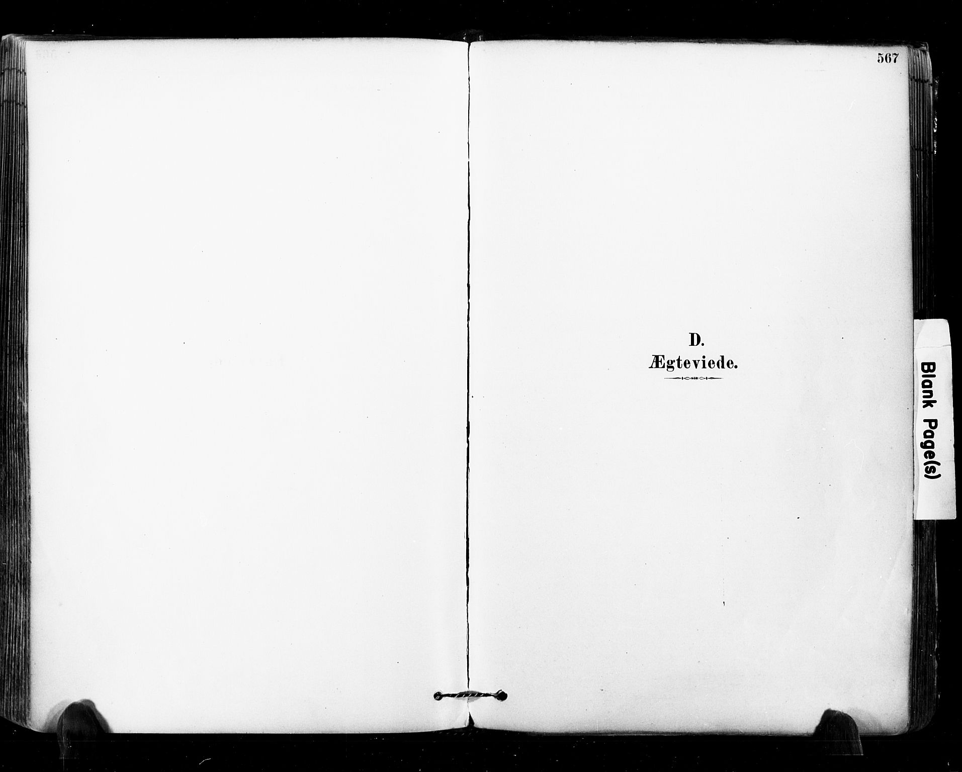 Glemmen prestekontor Kirkebøker, SAO/A-10908/F/Fa/L0011: Ministerialbok nr. 11, 1878-1917, s. 567