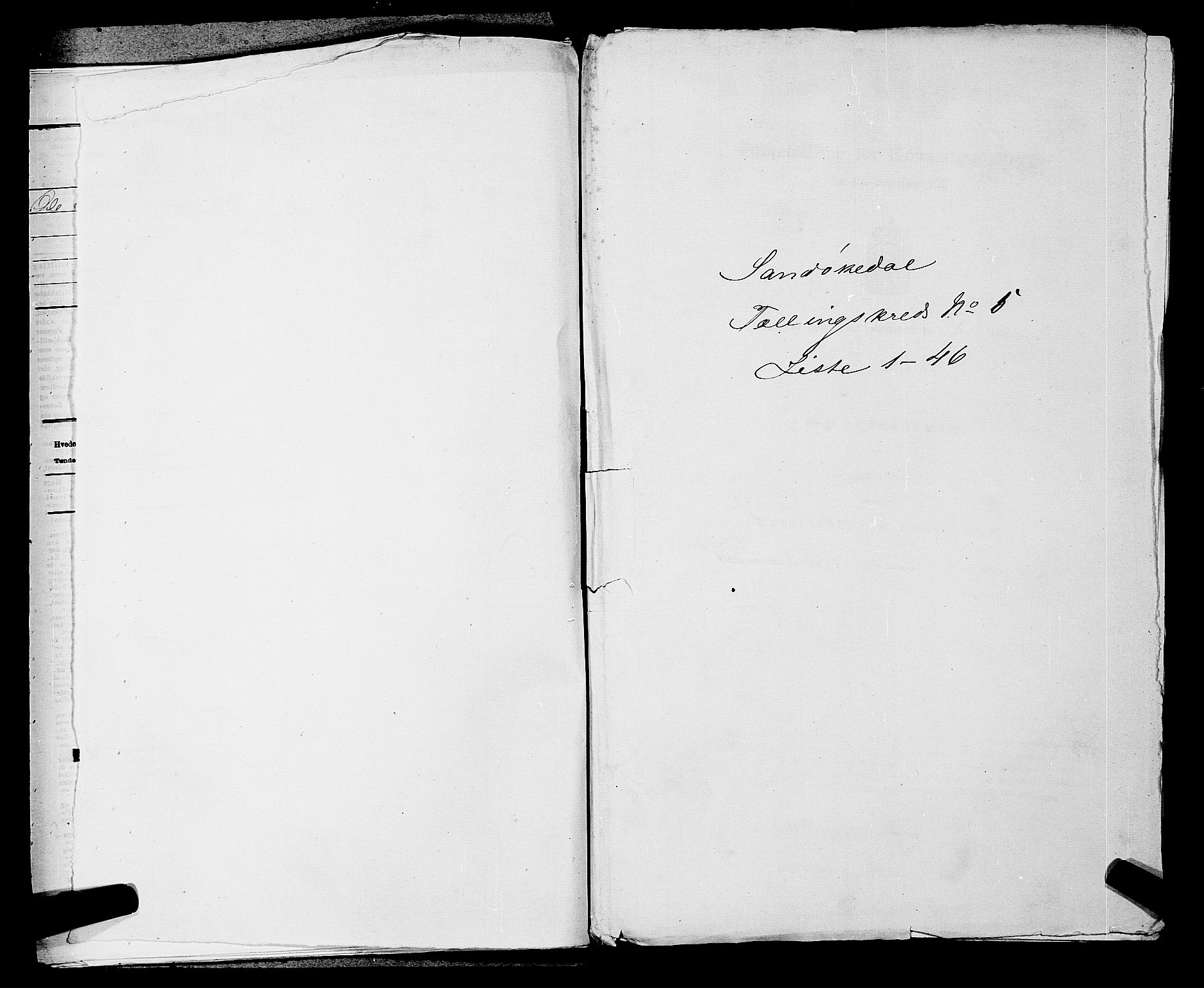 SAKO, Folketelling 1875 for 0816P Sannidal prestegjeld, 1875, s. 313