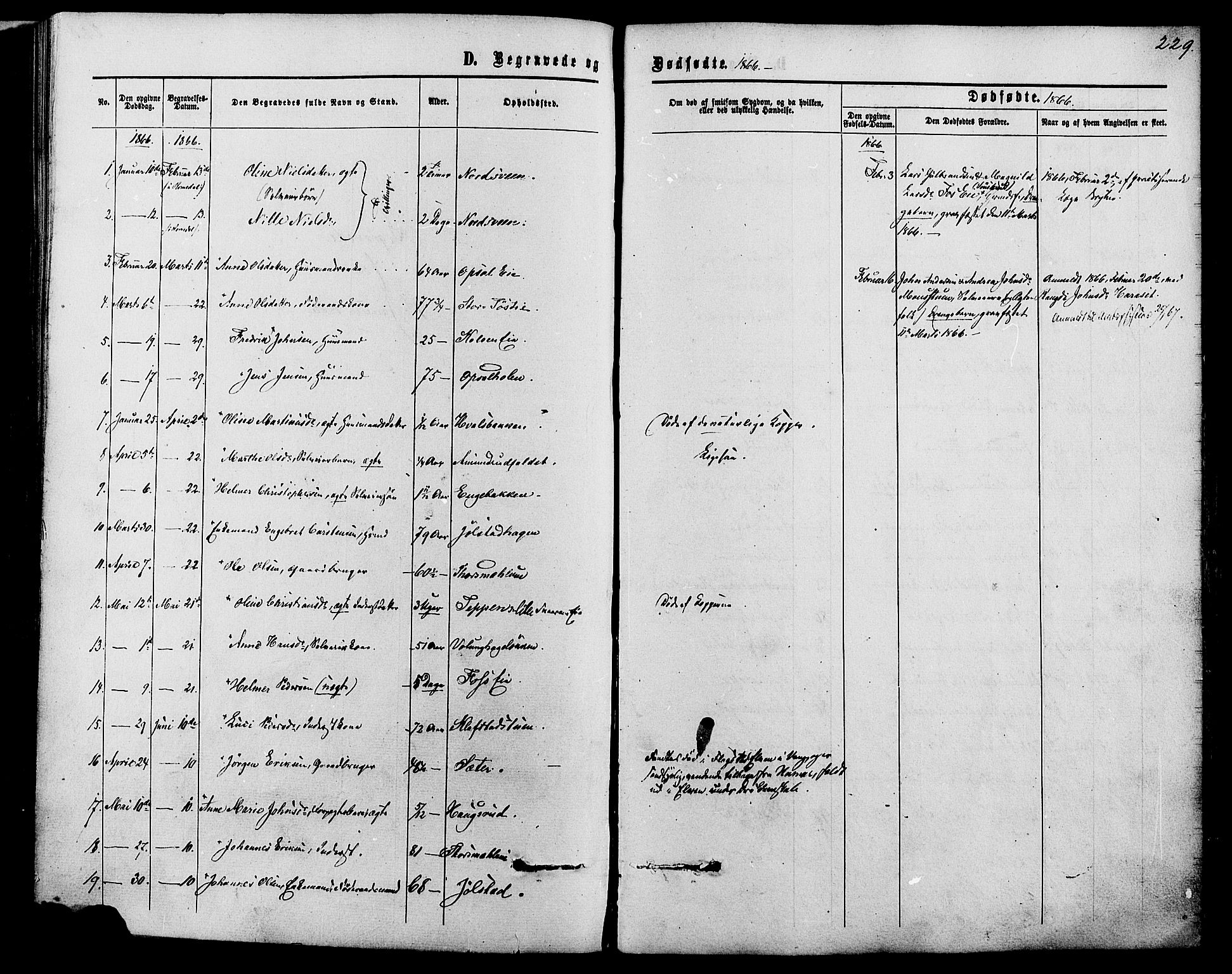 Romedal prestekontor, AV/SAH-PREST-004/K/L0006: Ministerialbok nr. 6, 1866-1886, s. 229