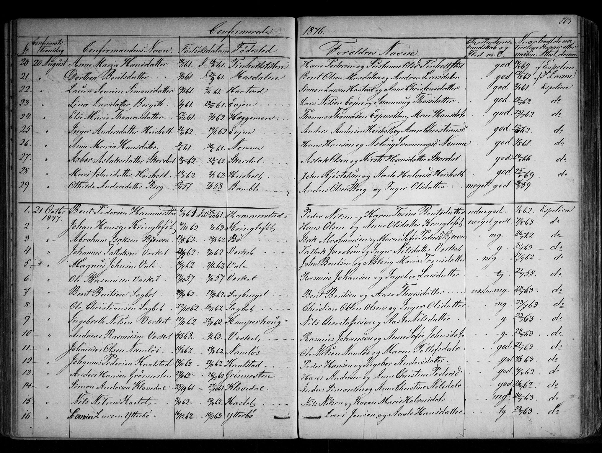 Holla kirkebøker, AV/SAKO-A-272/G/Ga/L0004: Klokkerbok nr. I 4, 1867-1890, s. 263