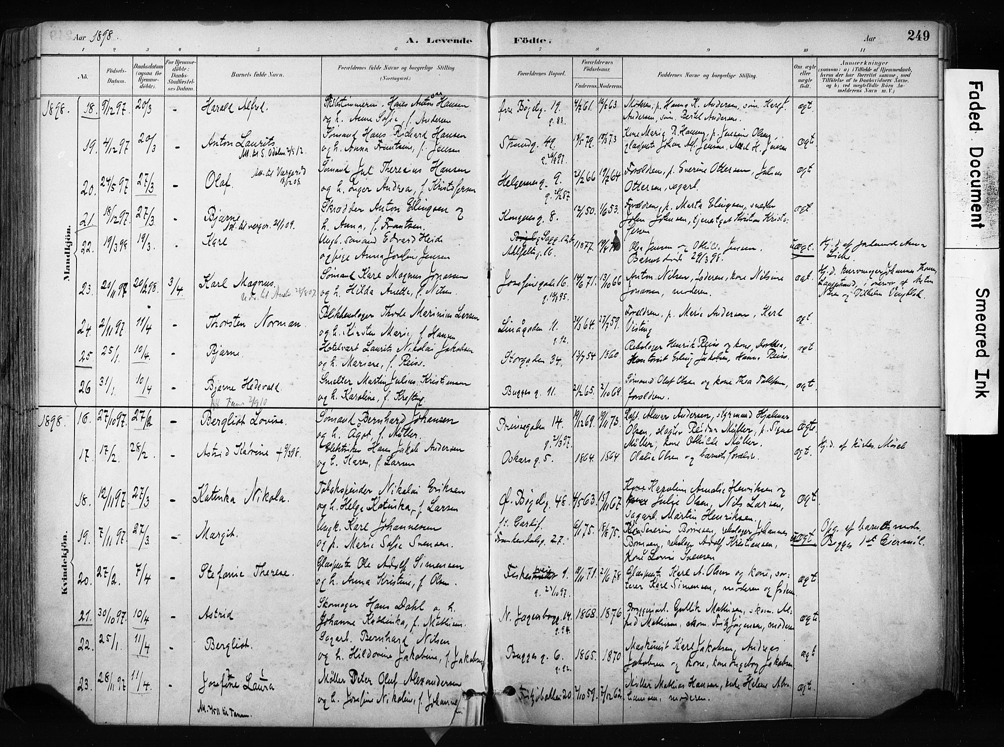Larvik kirkebøker, AV/SAKO-A-352/F/Fa/L0009: Ministerialbok nr. I 9, 1884-1904, s. 249