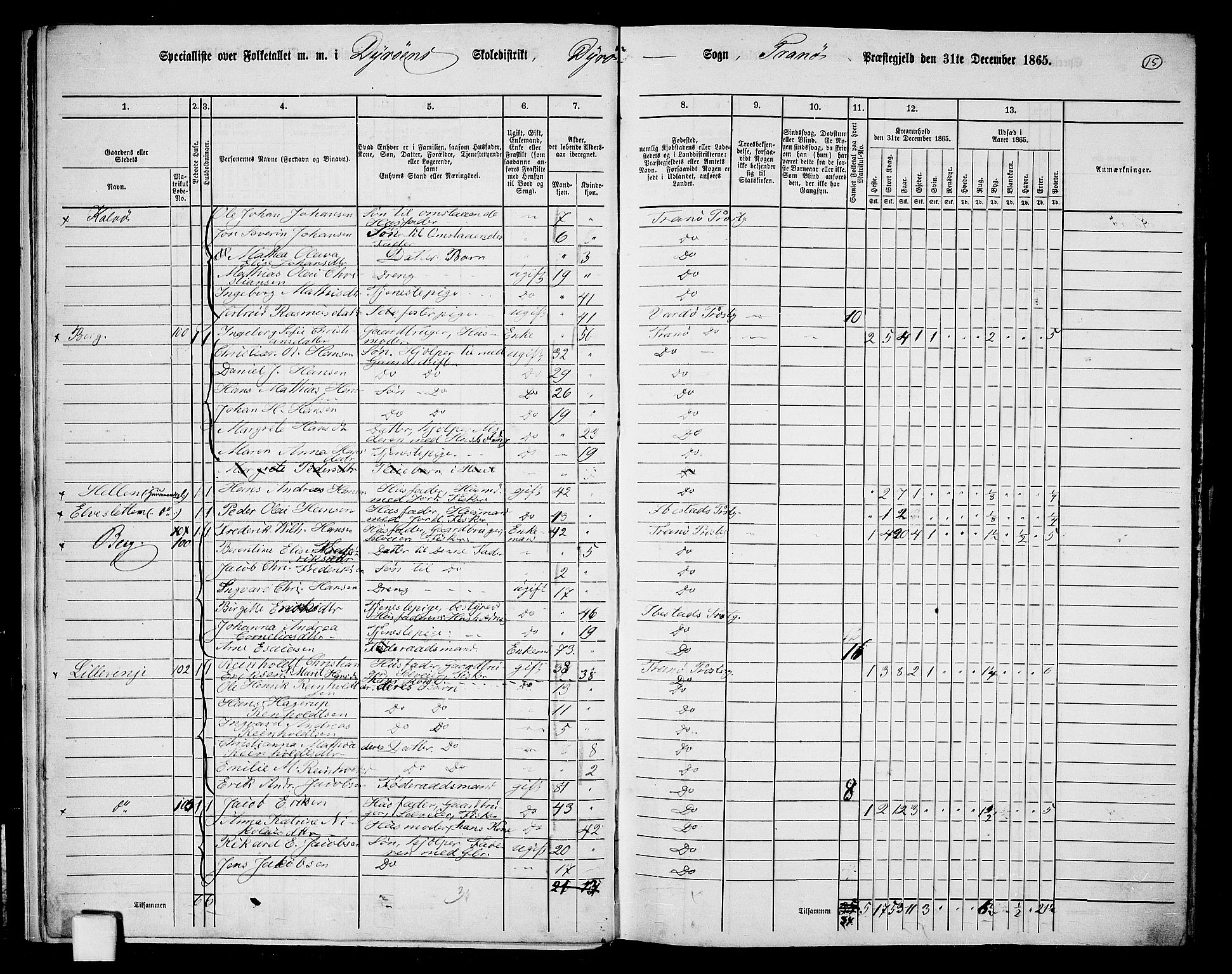 RA, Folketelling 1865 for 1927P Tranøy prestegjeld, 1865, s. 13