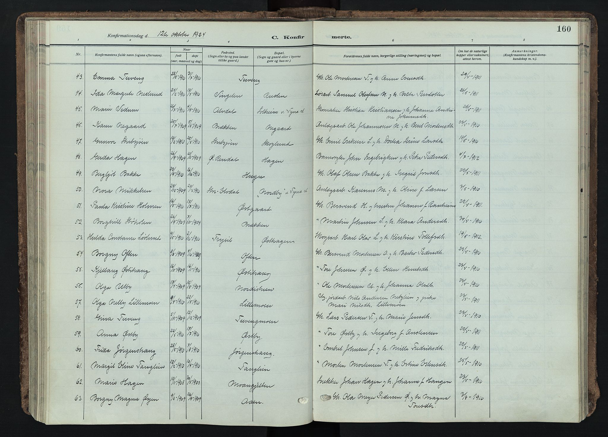 Tynset prestekontor, AV/SAH-PREST-058/H/Ha/Haa/L0026: Ministerialbok nr. 26, 1915-1929, s. 160