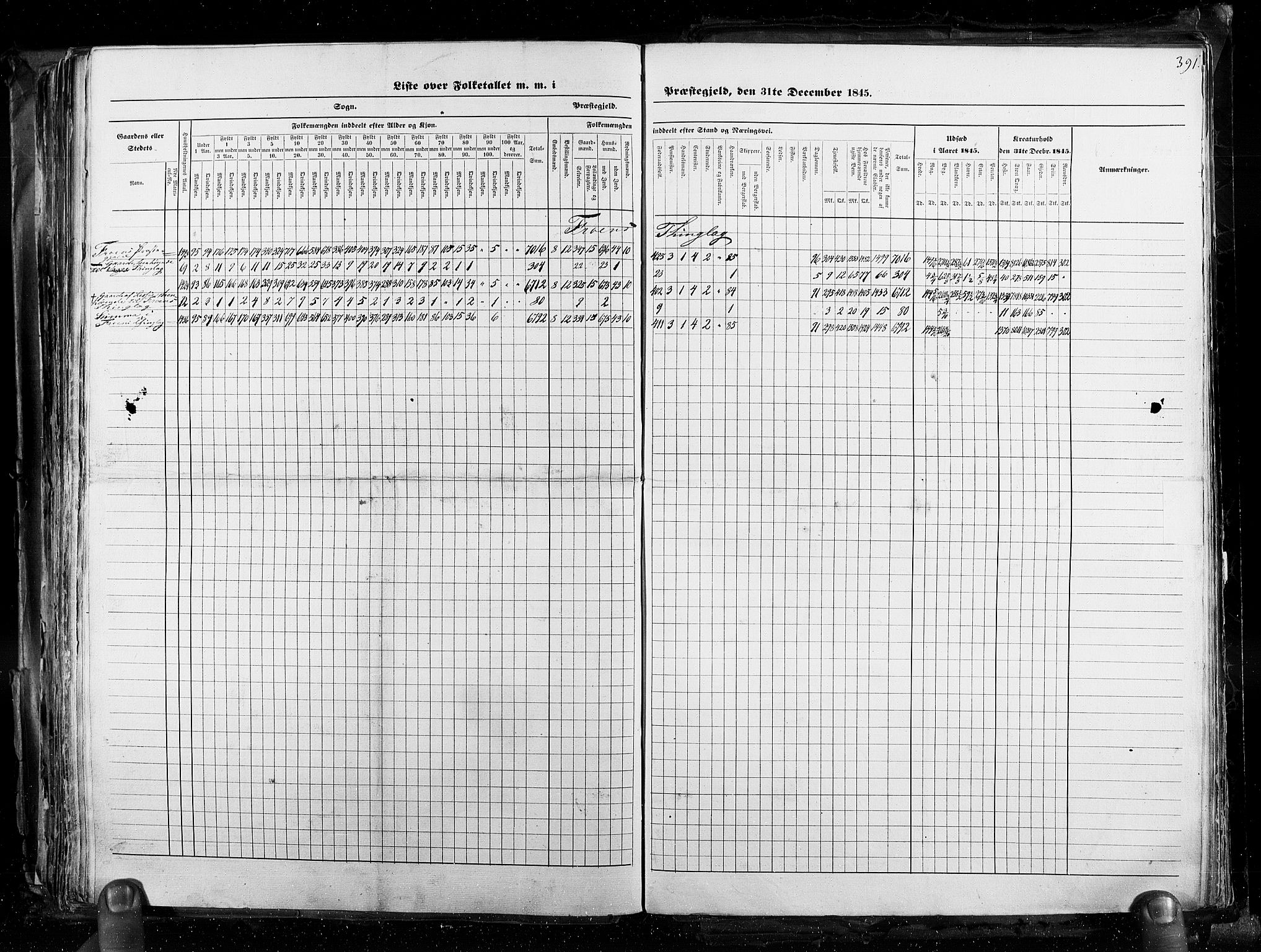 RA, Folketellingen 1845, bind 3: Hedemarken amt og Kristians amt, 1845, s. 391