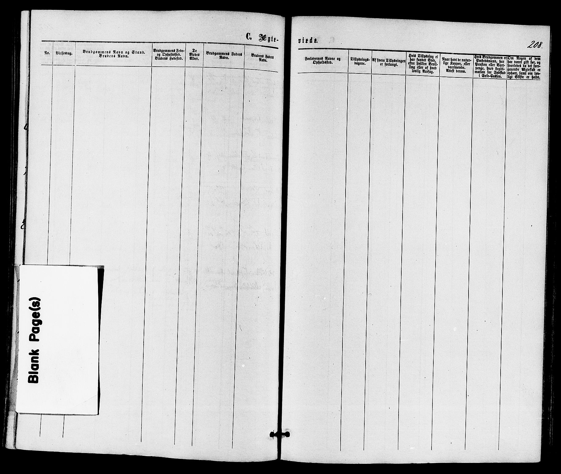 Holmestrand kirkebøker, AV/SAKO-A-346/F/Fa/L0003: Ministerialbok nr. 3, 1867-1879, s. 208