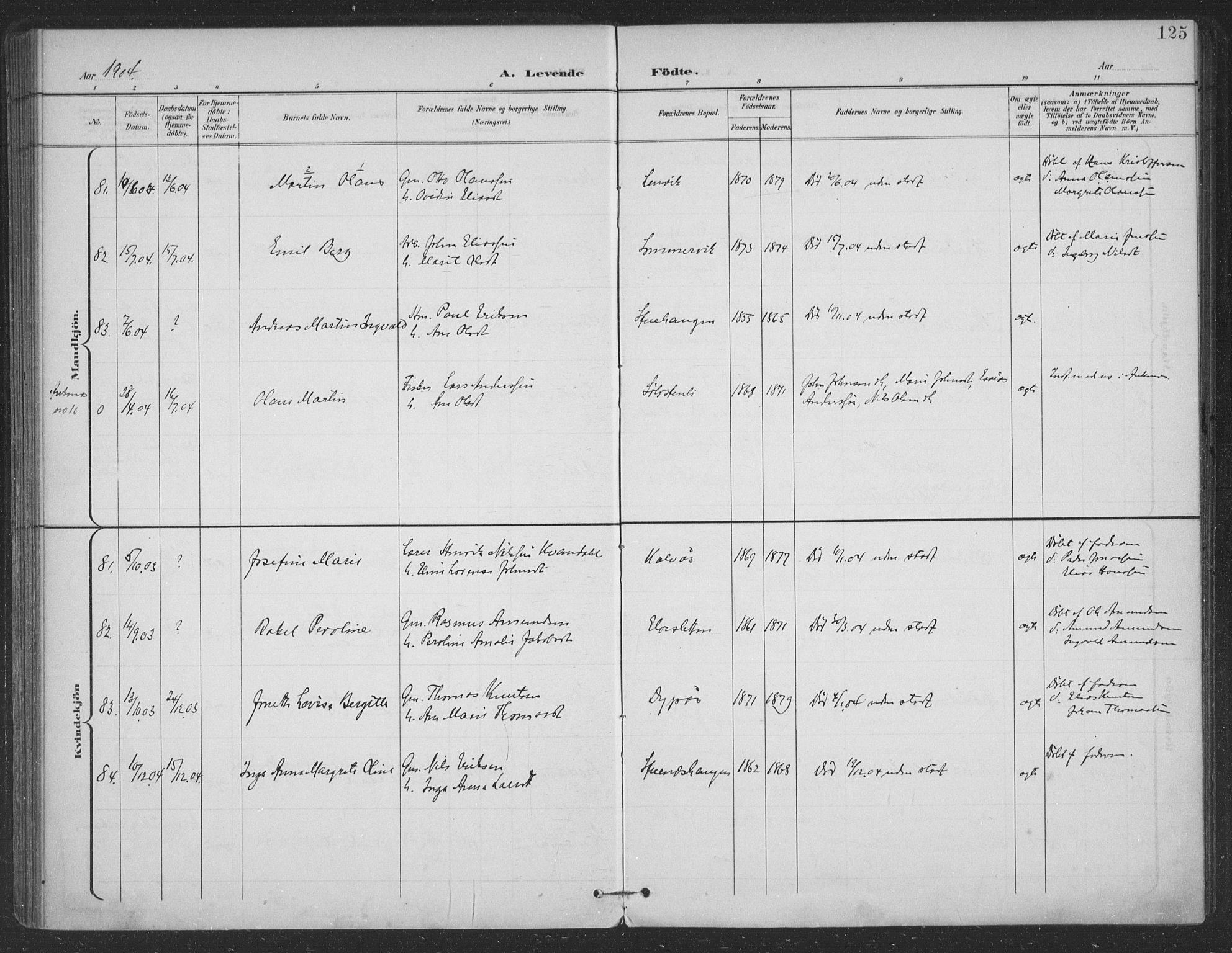 Ministerialprotokoller, klokkerbøker og fødselsregistre - Nordland, SAT/A-1459/863/L0899: Ministerialbok nr. 863A11, 1897-1906, s. 125