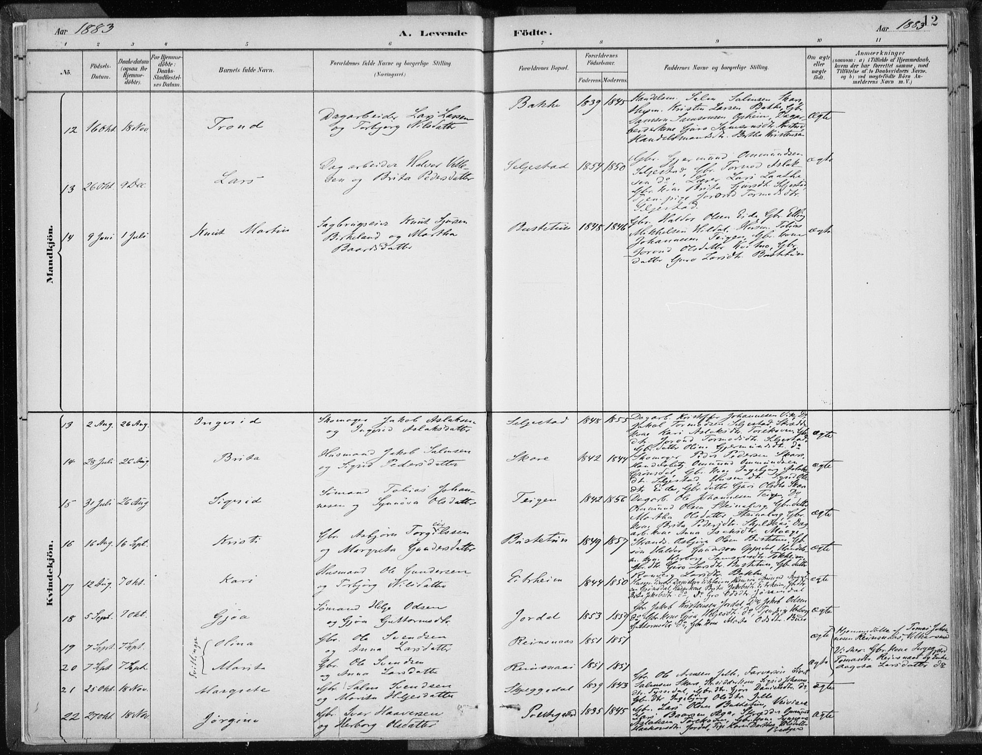 Odda Sokneprestembete, AV/SAB-A-77201/H/Haa: Ministerialbok nr. A  3, 1882-1913, s. 12