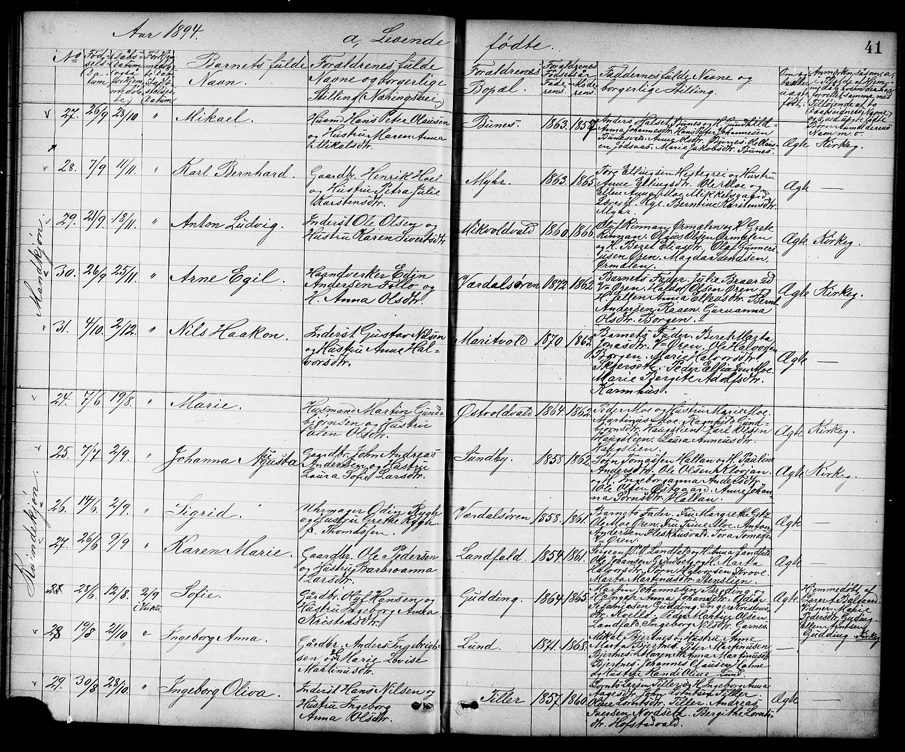 Ministerialprotokoller, klokkerbøker og fødselsregistre - Nord-Trøndelag, SAT/A-1458/723/L0257: Klokkerbok nr. 723C05, 1890-1907, s. 41