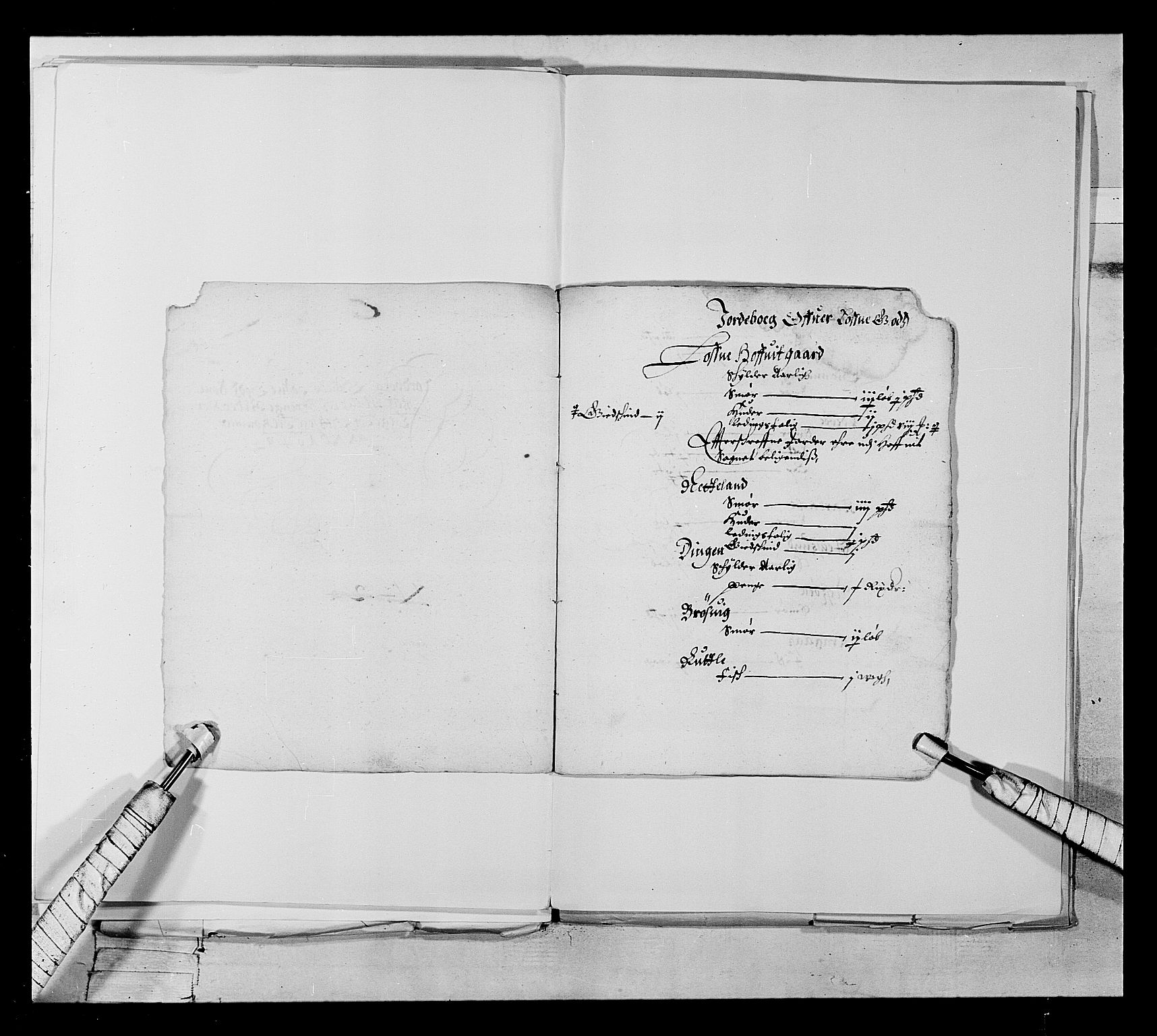 Stattholderembetet 1572-1771, AV/RA-EA-2870/Ek/L0021/0001: Jordebøker 1633-1658: / Adelsjordebøker innlevert til hyllingen i august 1648 og senere, 1648-1649, s. 189