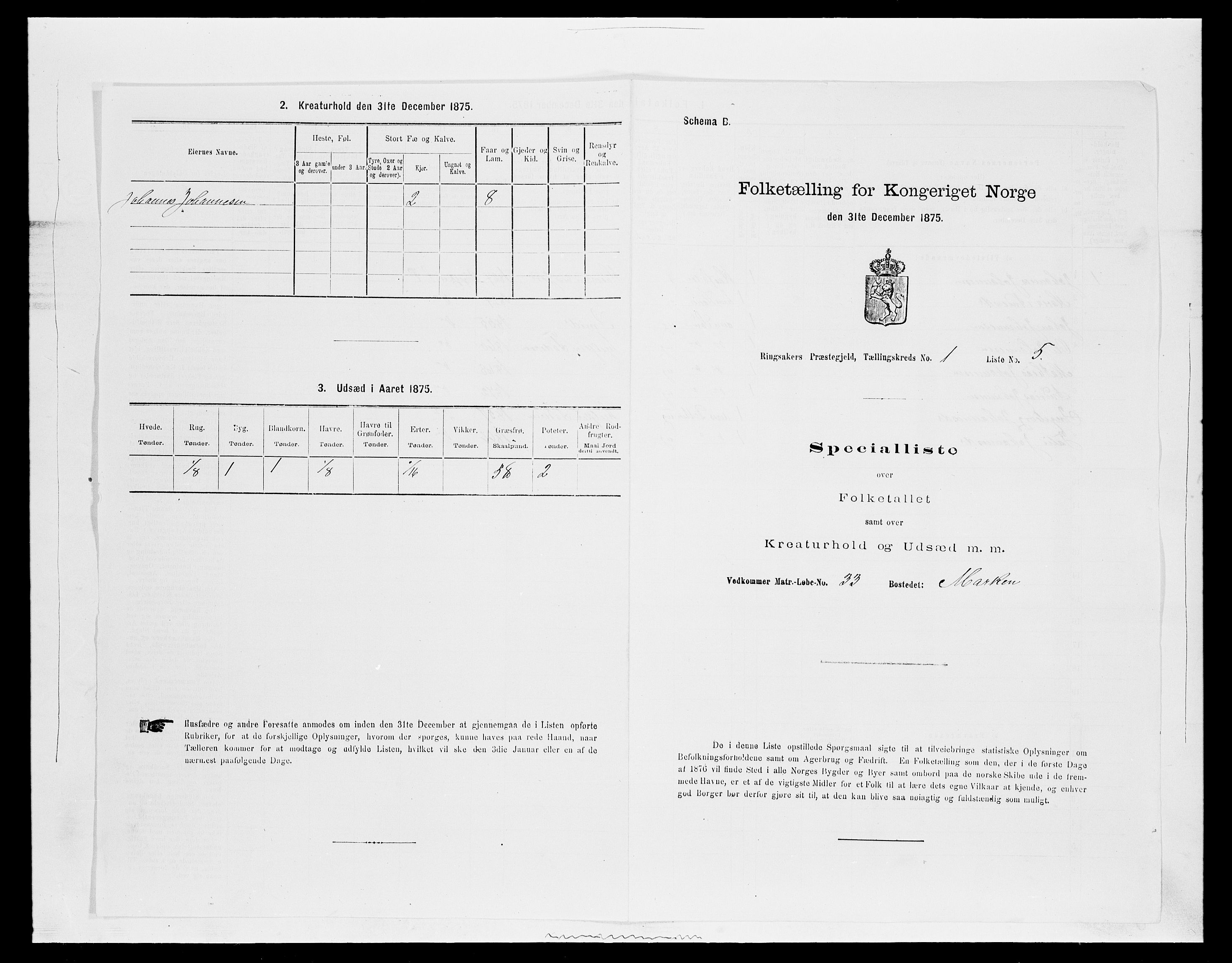 SAH, Folketelling 1875 for 0412P Ringsaker prestegjeld, 1875, s. 233