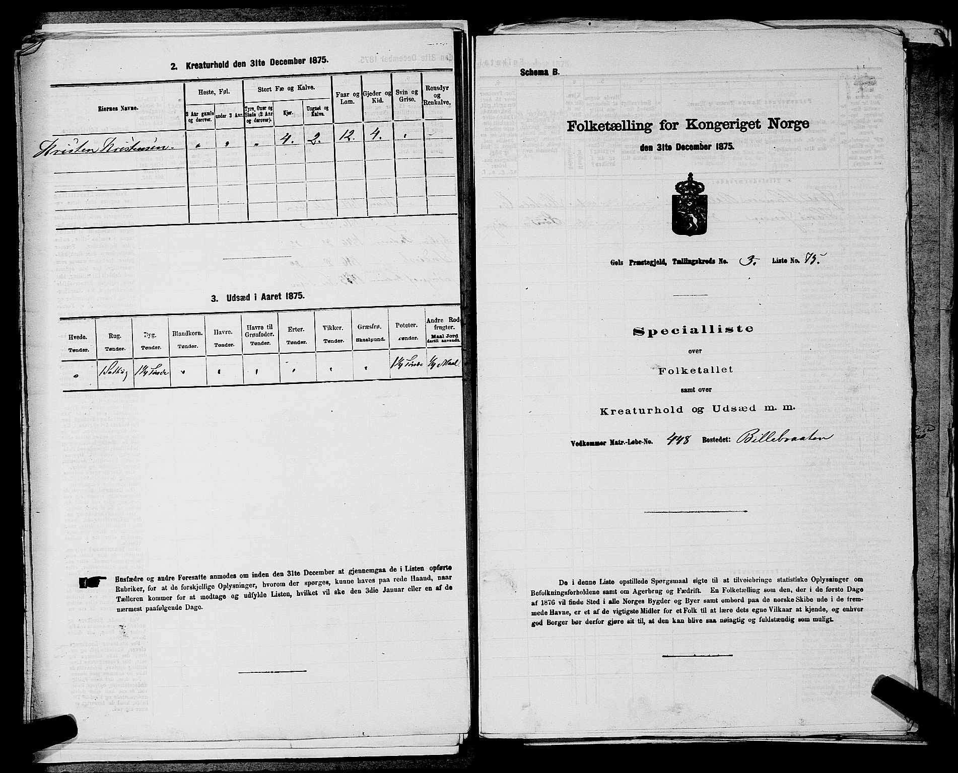 SAKO, Folketelling 1875 for 0617P Gol prestegjeld, 1875, s. 582