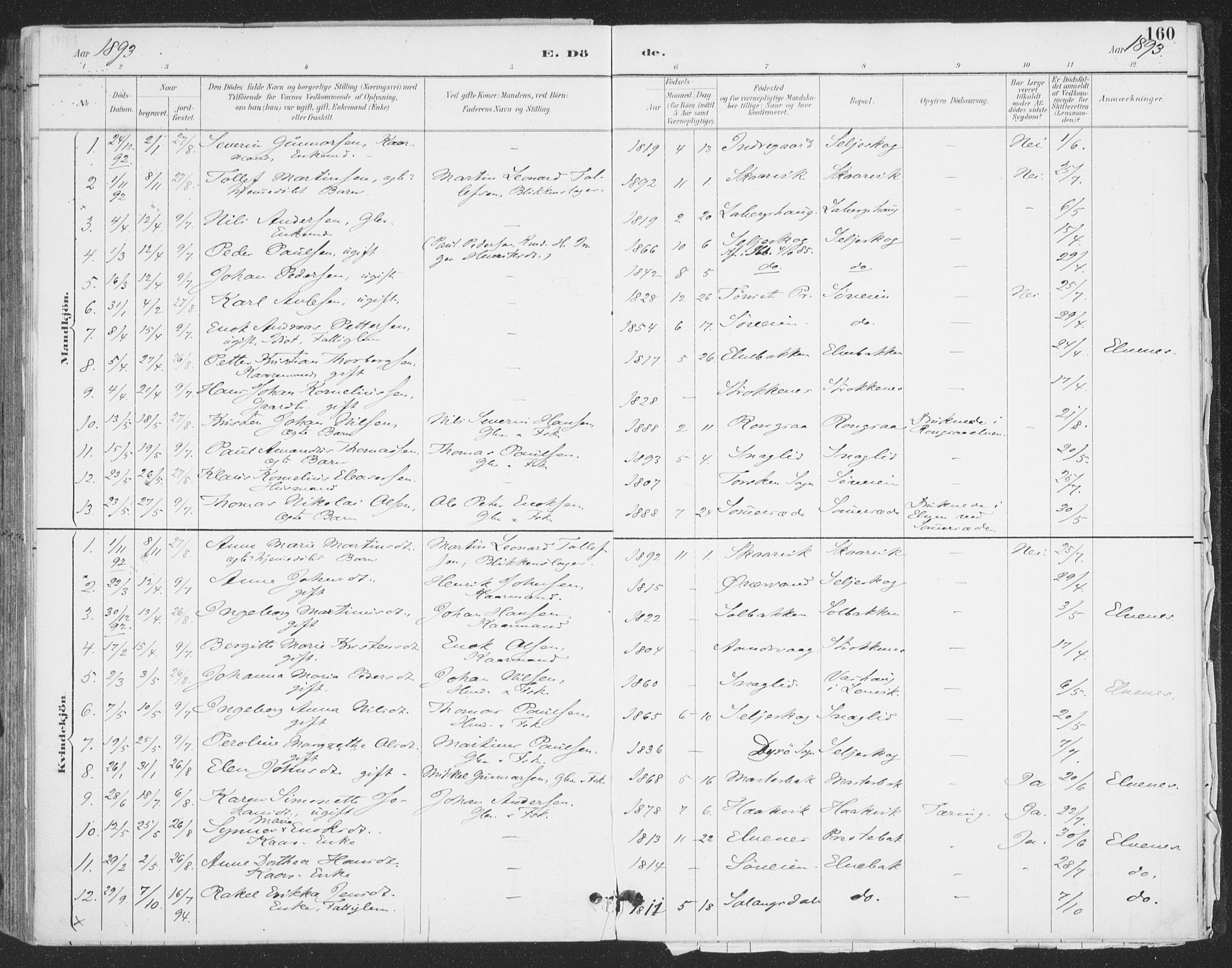 Ibestad sokneprestembete, AV/SATØ-S-0077/H/Ha/Haa/L0015kirke: Ministerialbok nr. 15, 1888-1899, s. 160