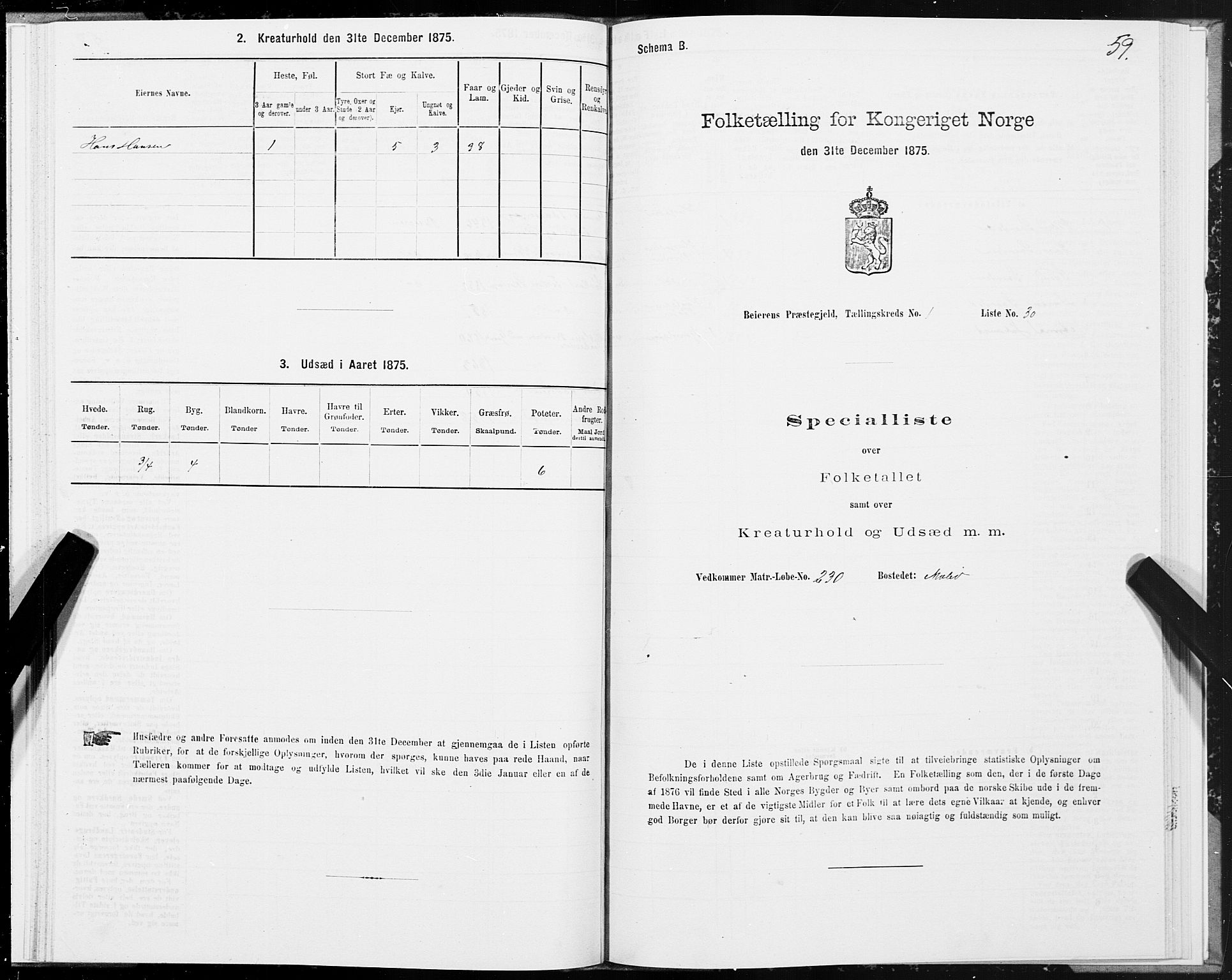 SAT, Folketelling 1875 for 1839P Beiarn prestegjeld, 1875, s. 1059